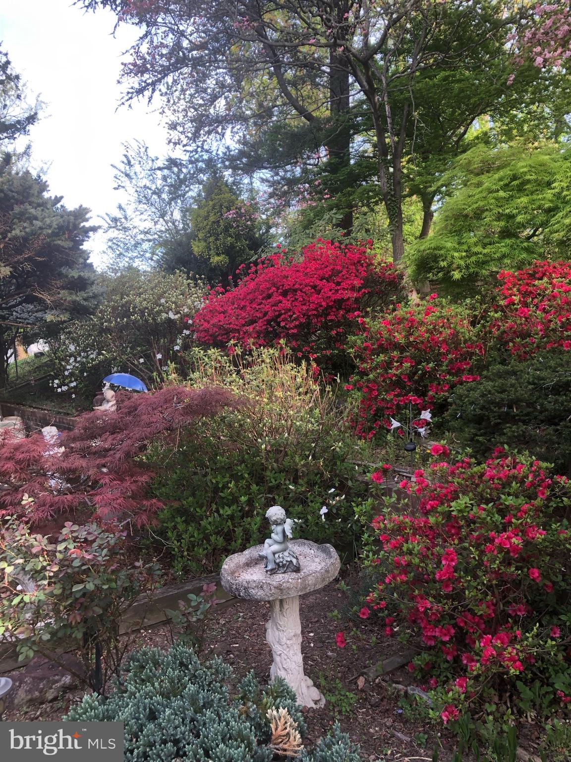 CHESTERBROOK WOODS - Residential