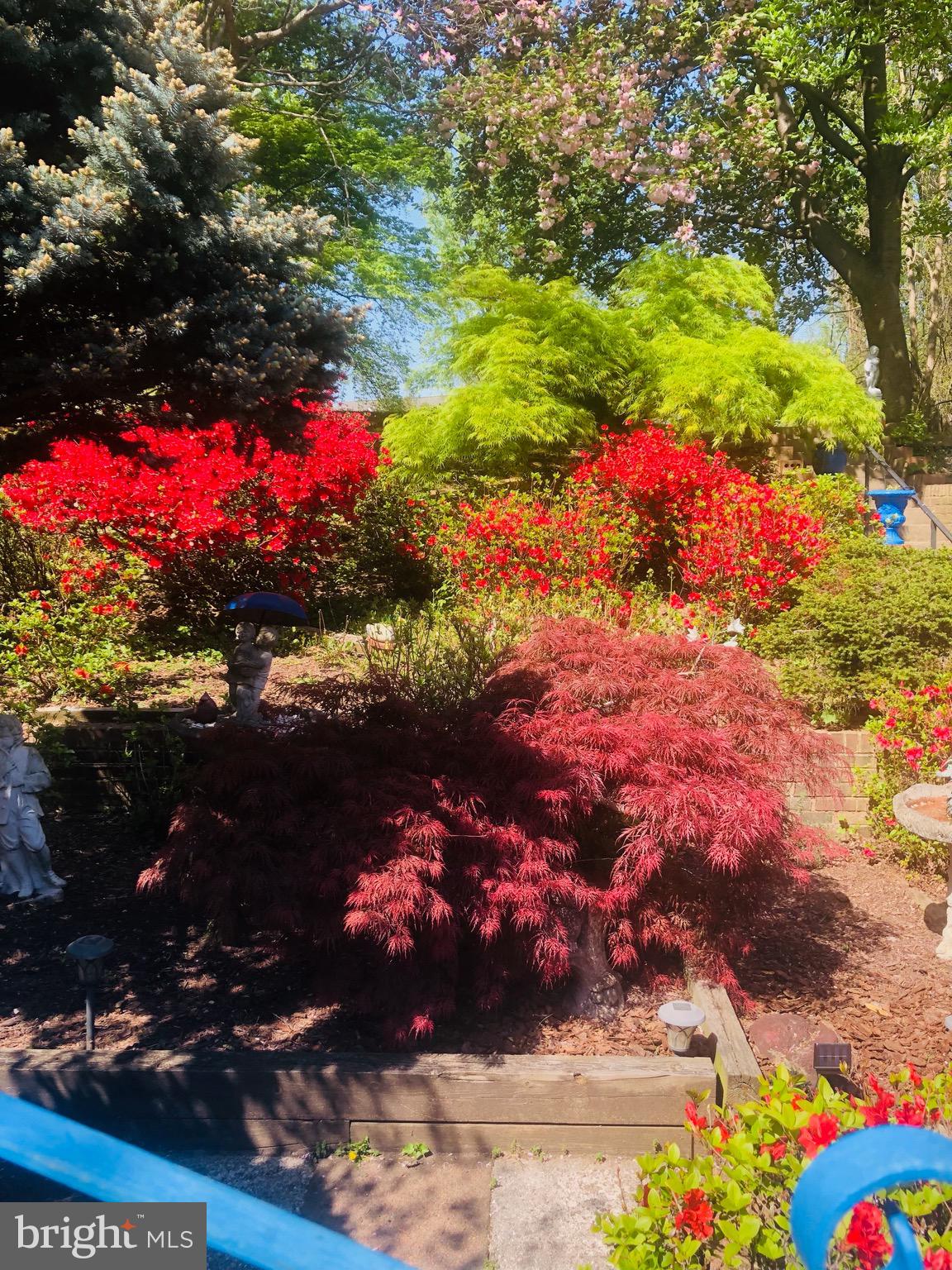 CHESTERBROOK WOODS - Residential