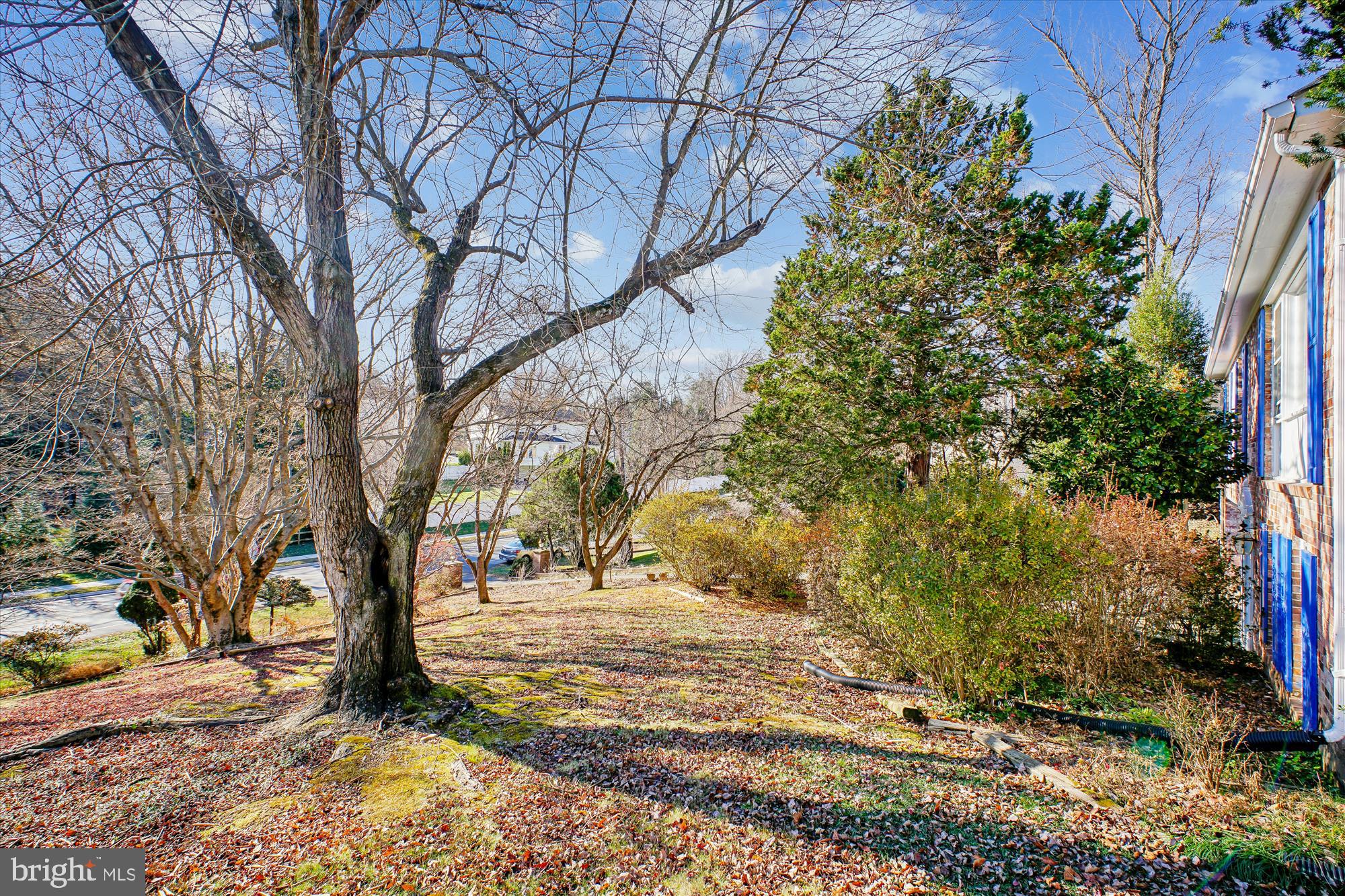 CHESTERBROOK WOODS - Residential