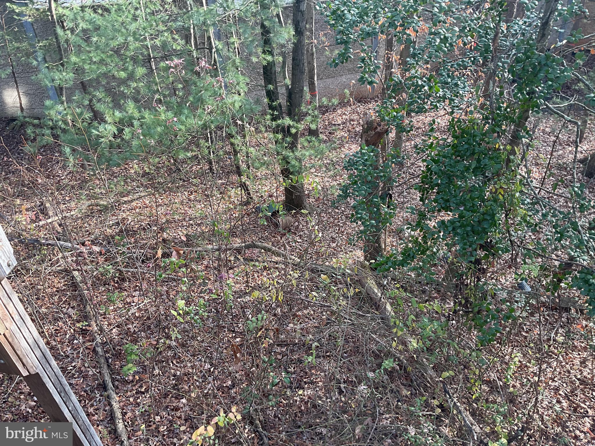 FAIRFAX STATION - Residential