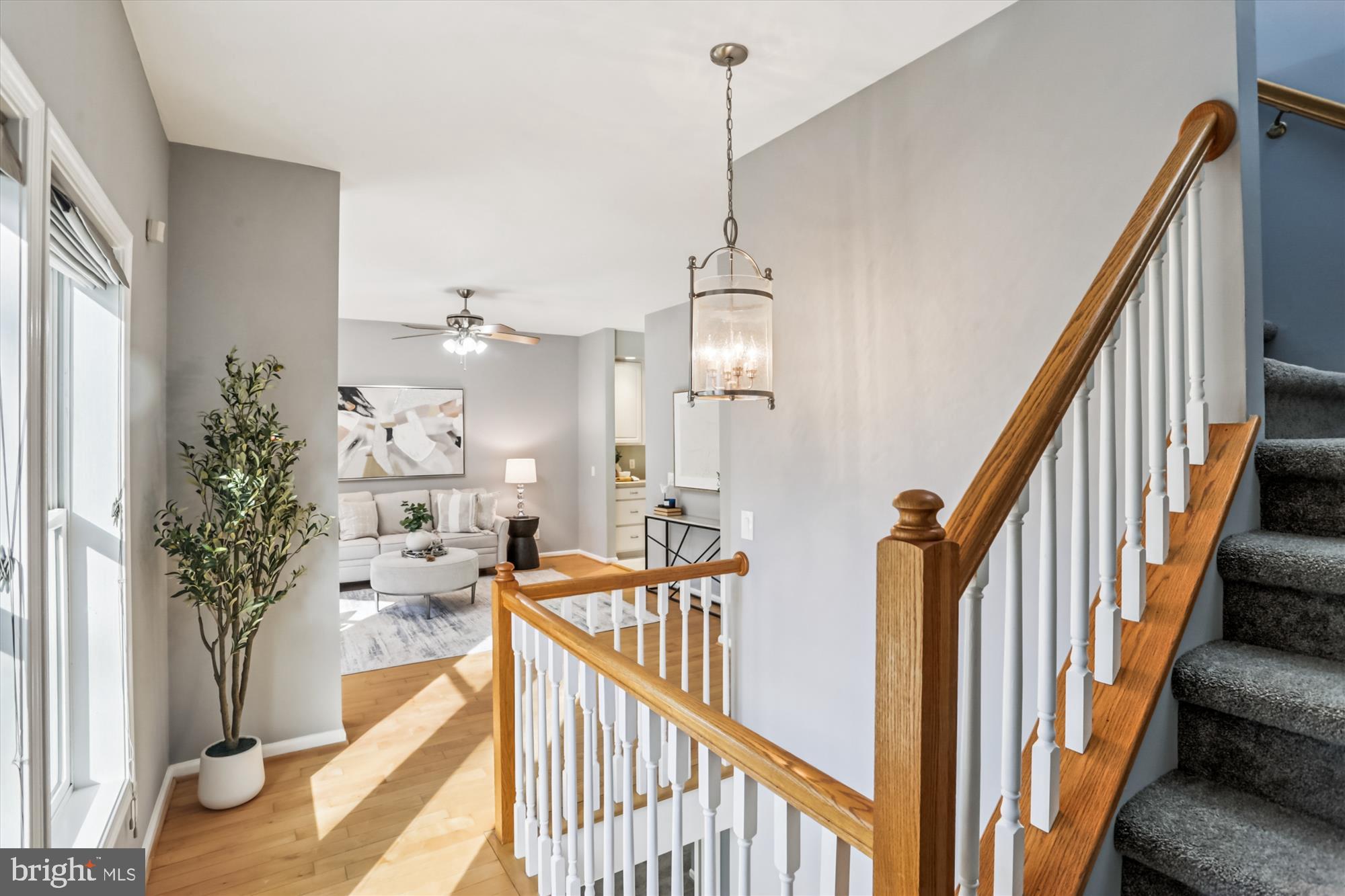 TAKOMA PARK - Residential