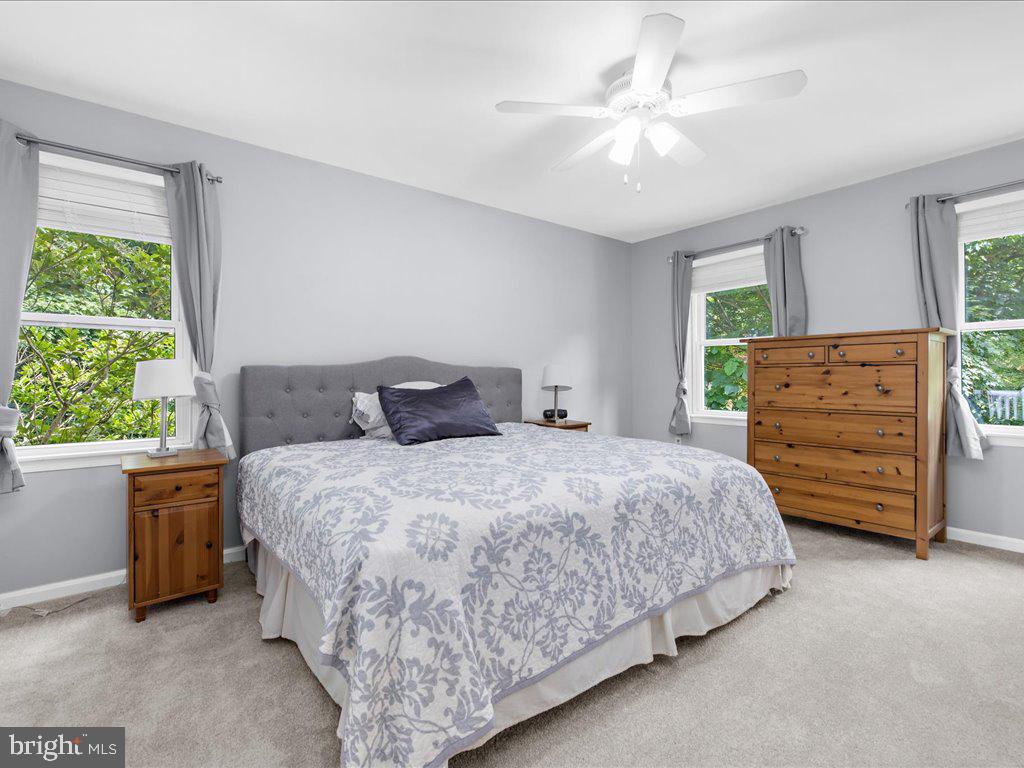 THE MEADOWS - Residential