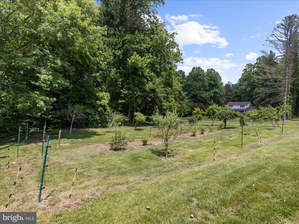 THE MEADOWS - Residential