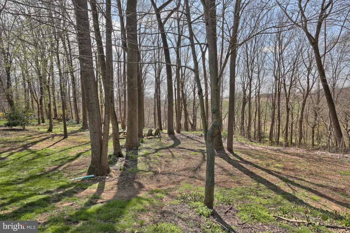 SPRINGDALE FARMS - Residential