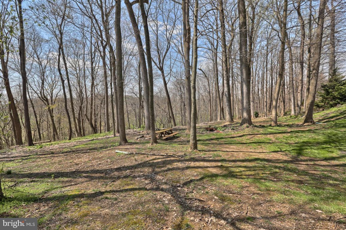 SPRINGDALE FARMS - Residential