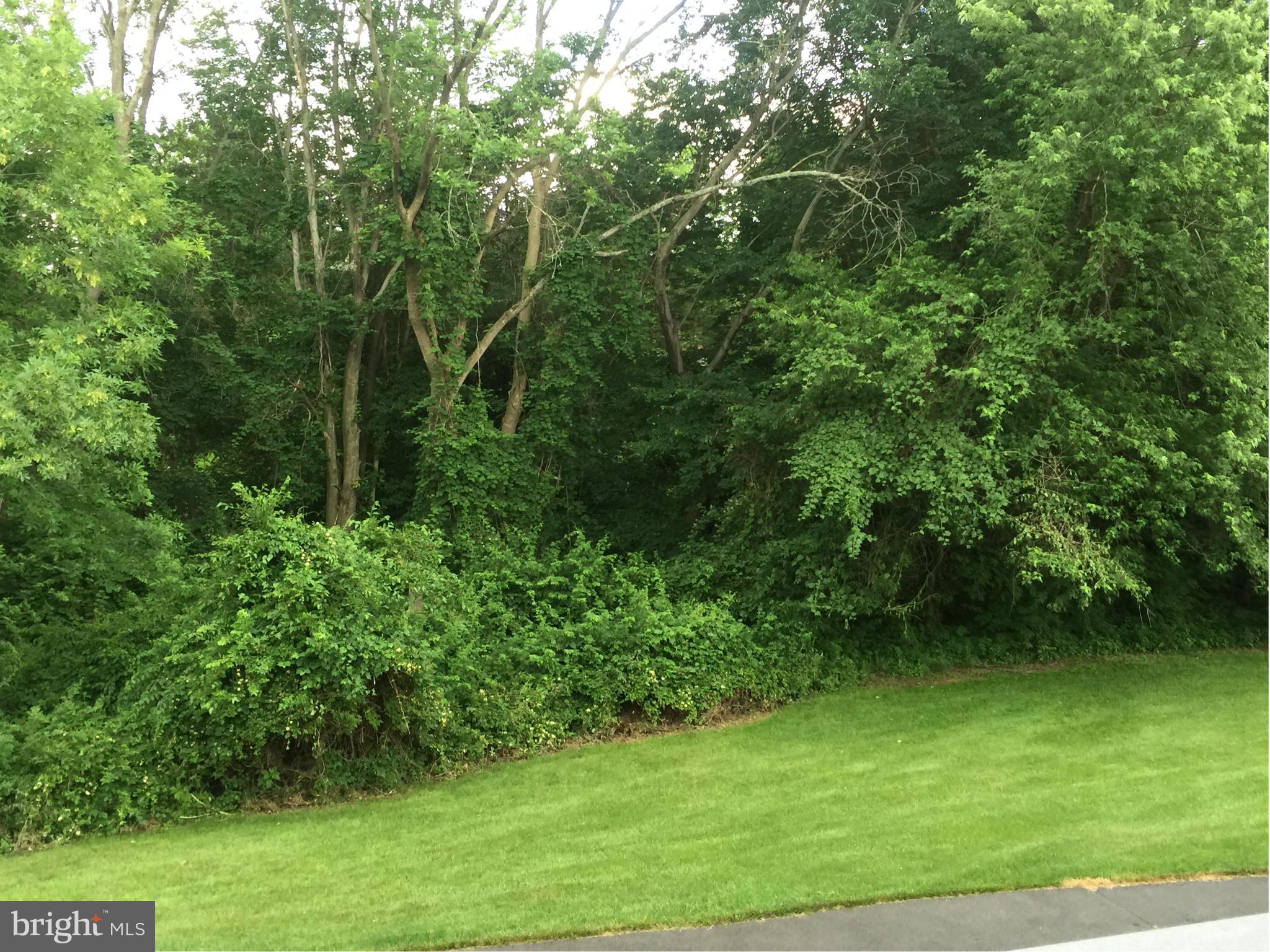 DUNN LORING VILLAGE - Residential