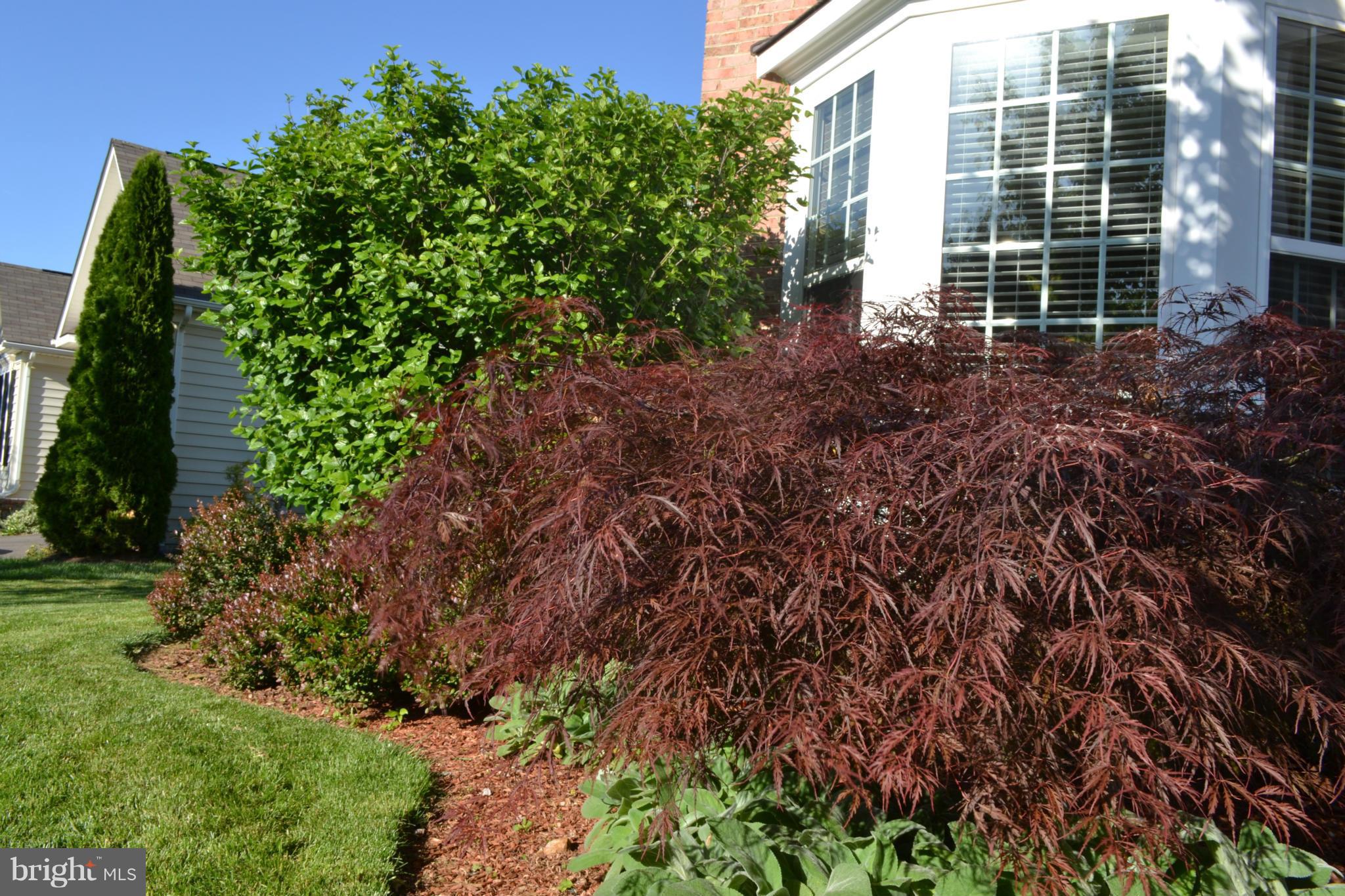 HOMEPLACE ON PELHAMS REACH - Residential