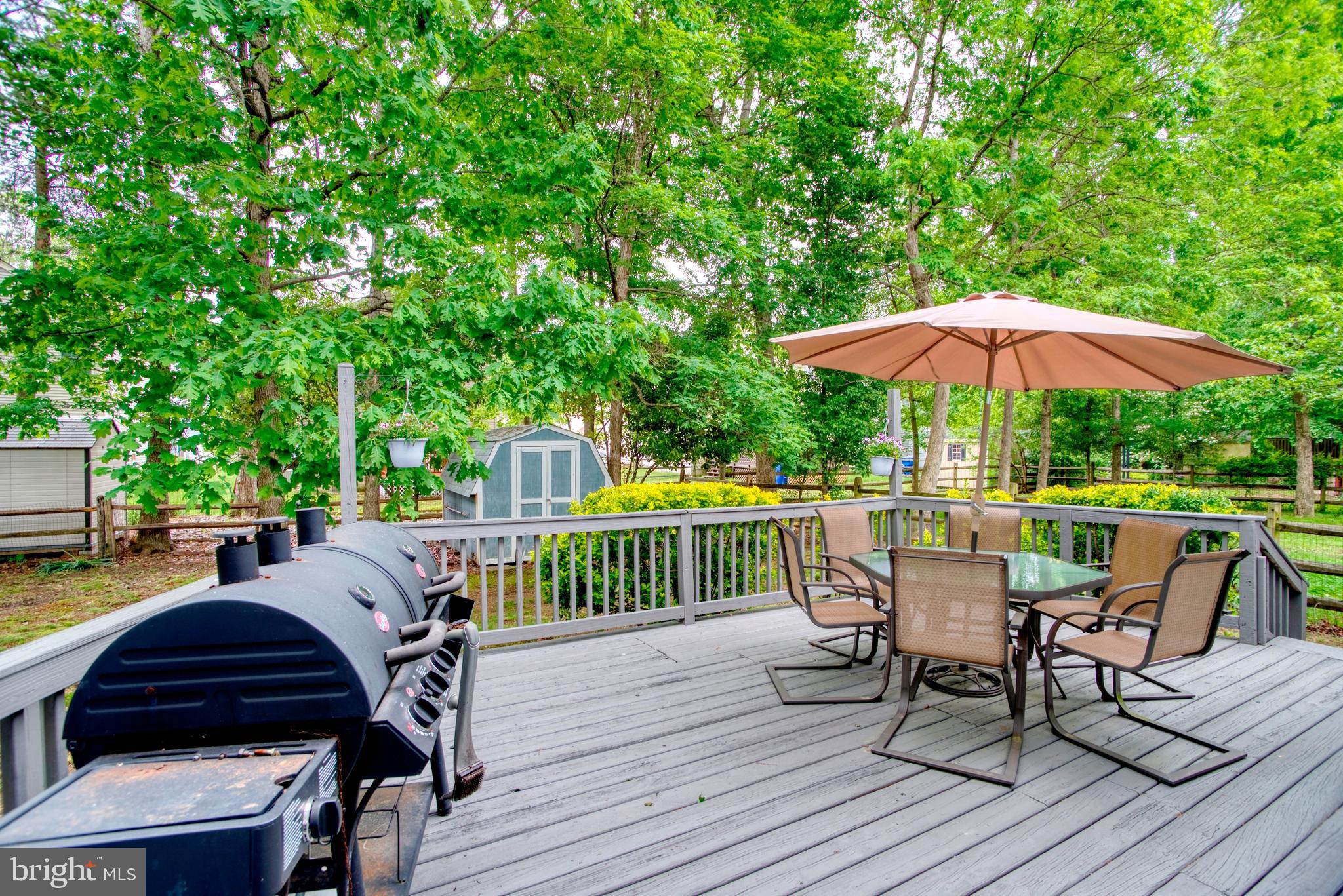 DORCHESTER NEIGHBORHOOD - Residential