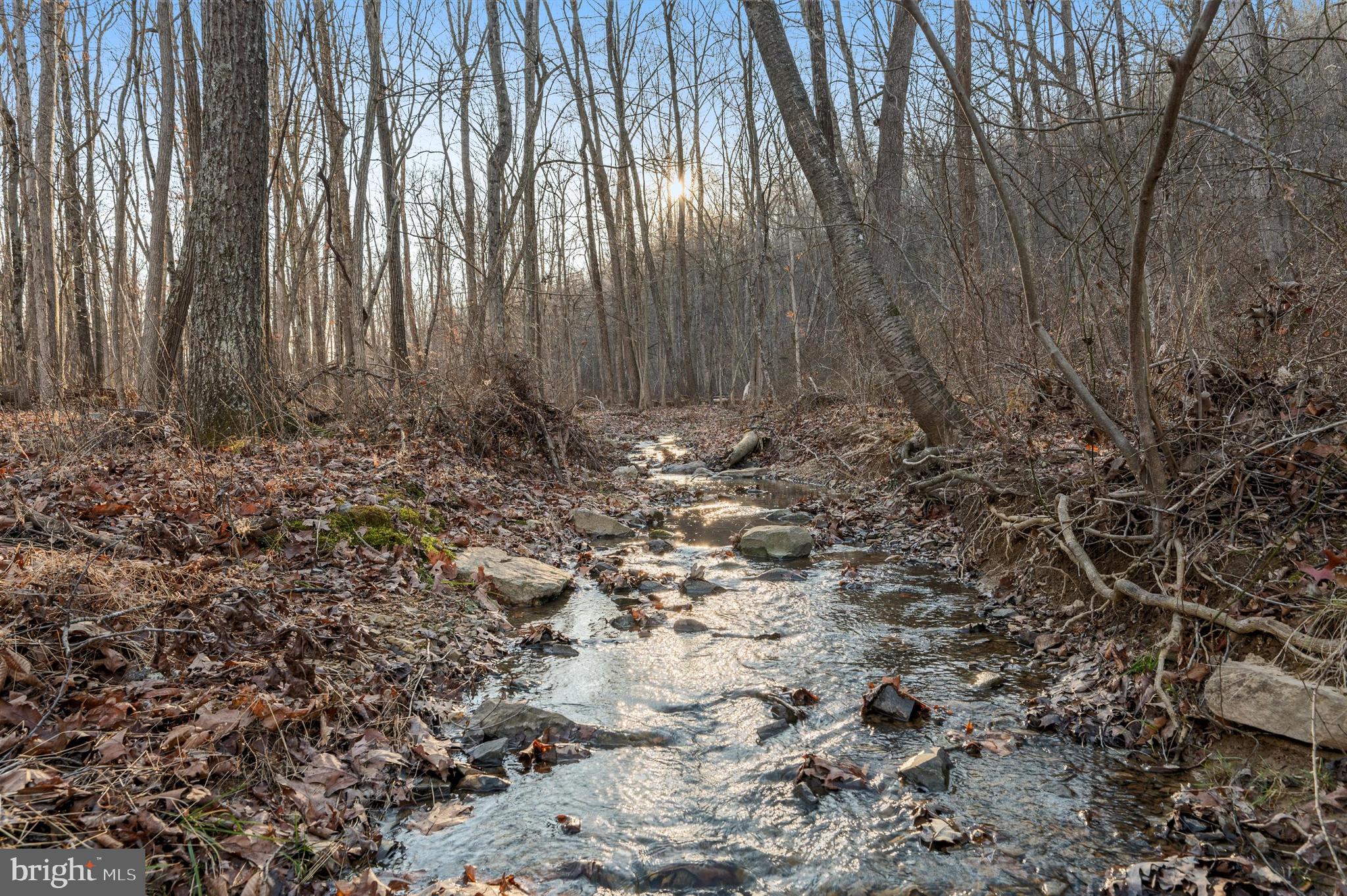 LOT 4 BACK CREEK RD