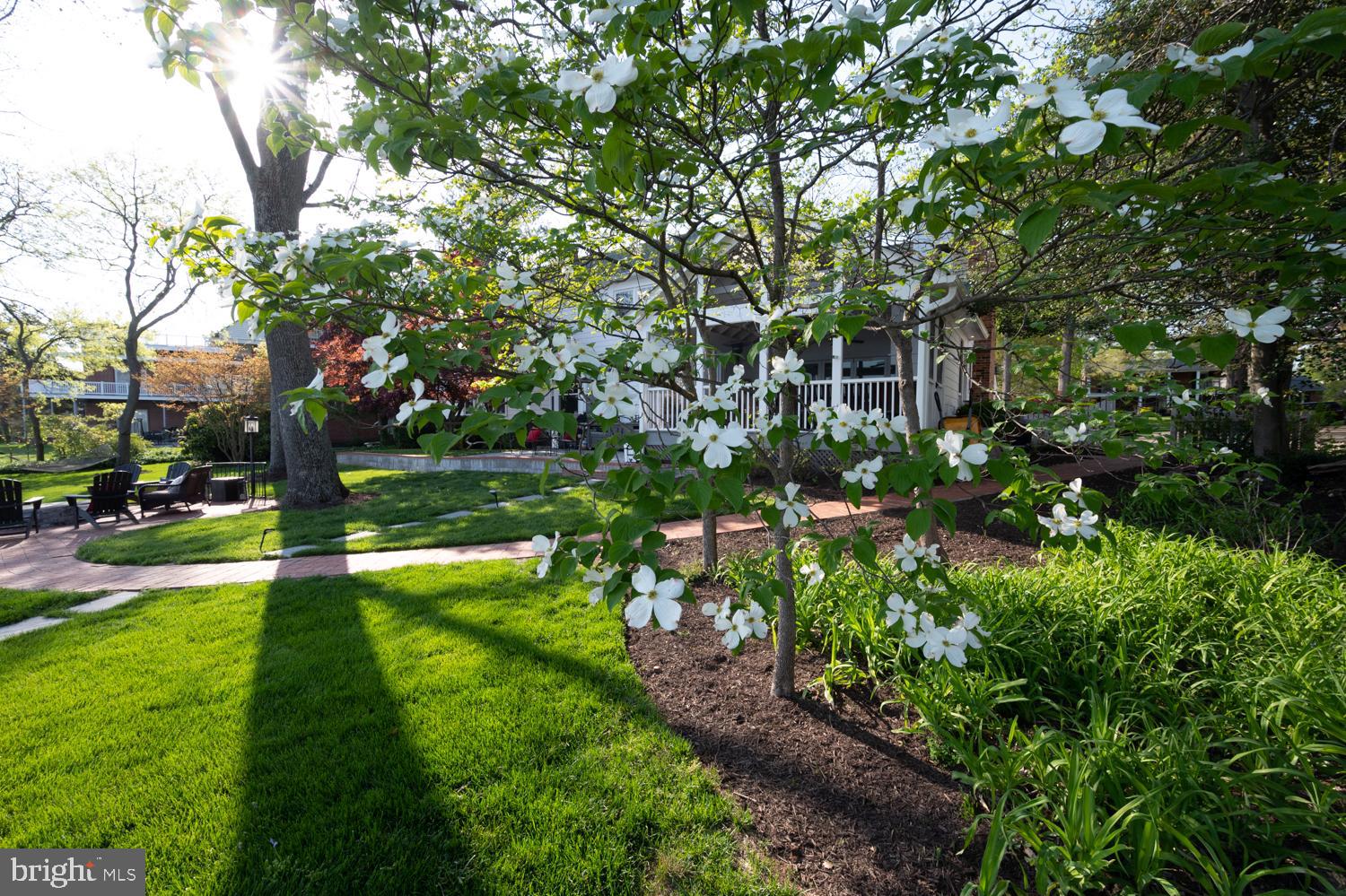 BELLE RIVE - Residential