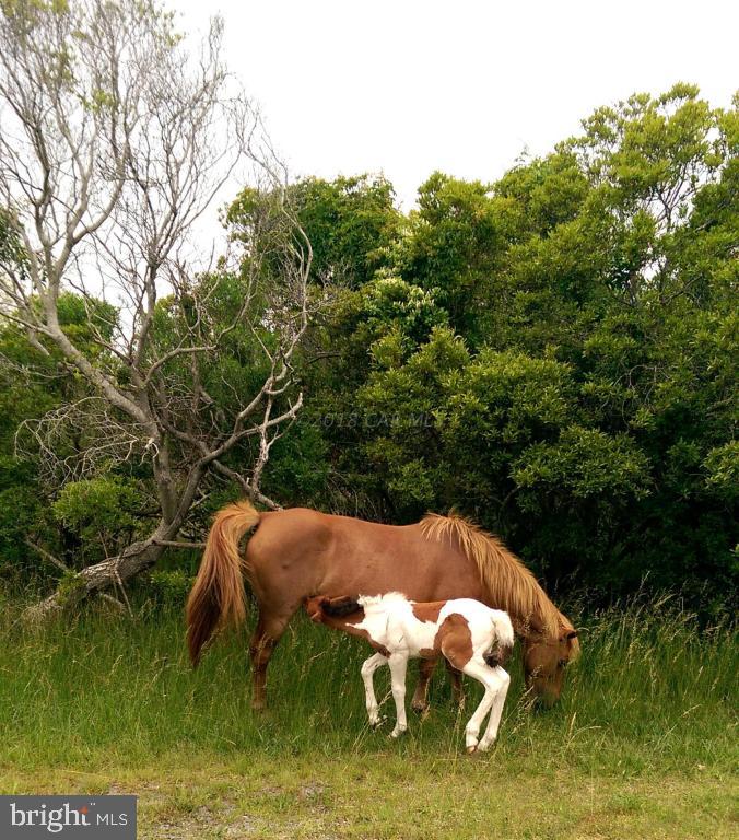 OCEAN REEF - Residential