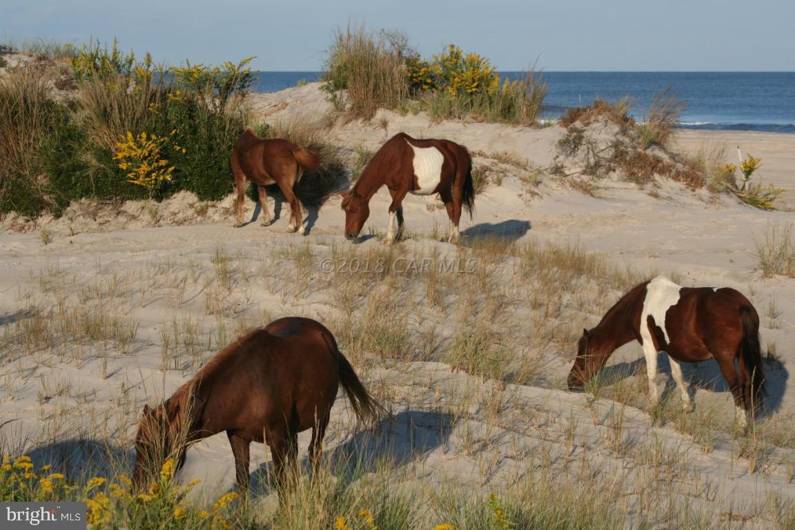 OCEAN REEF - Residential