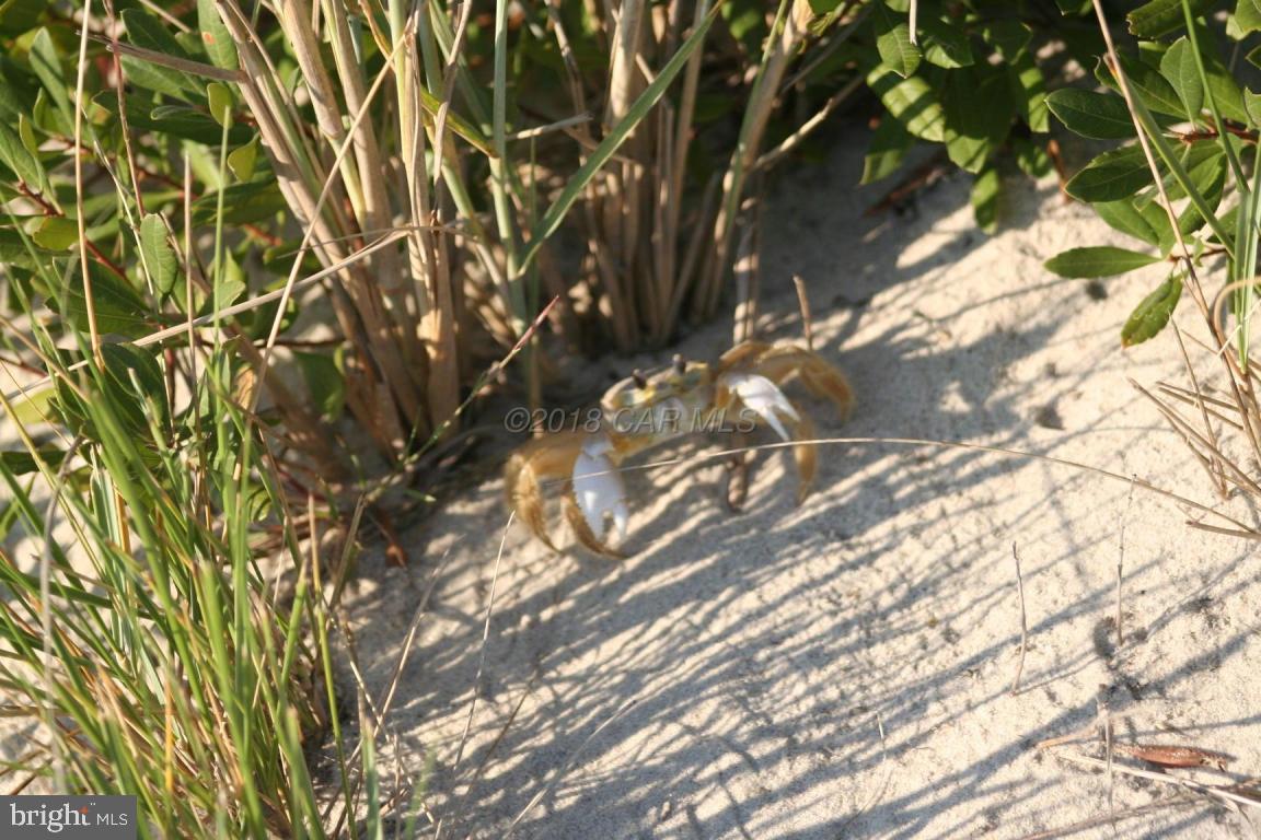 OCEAN REEF - Residential