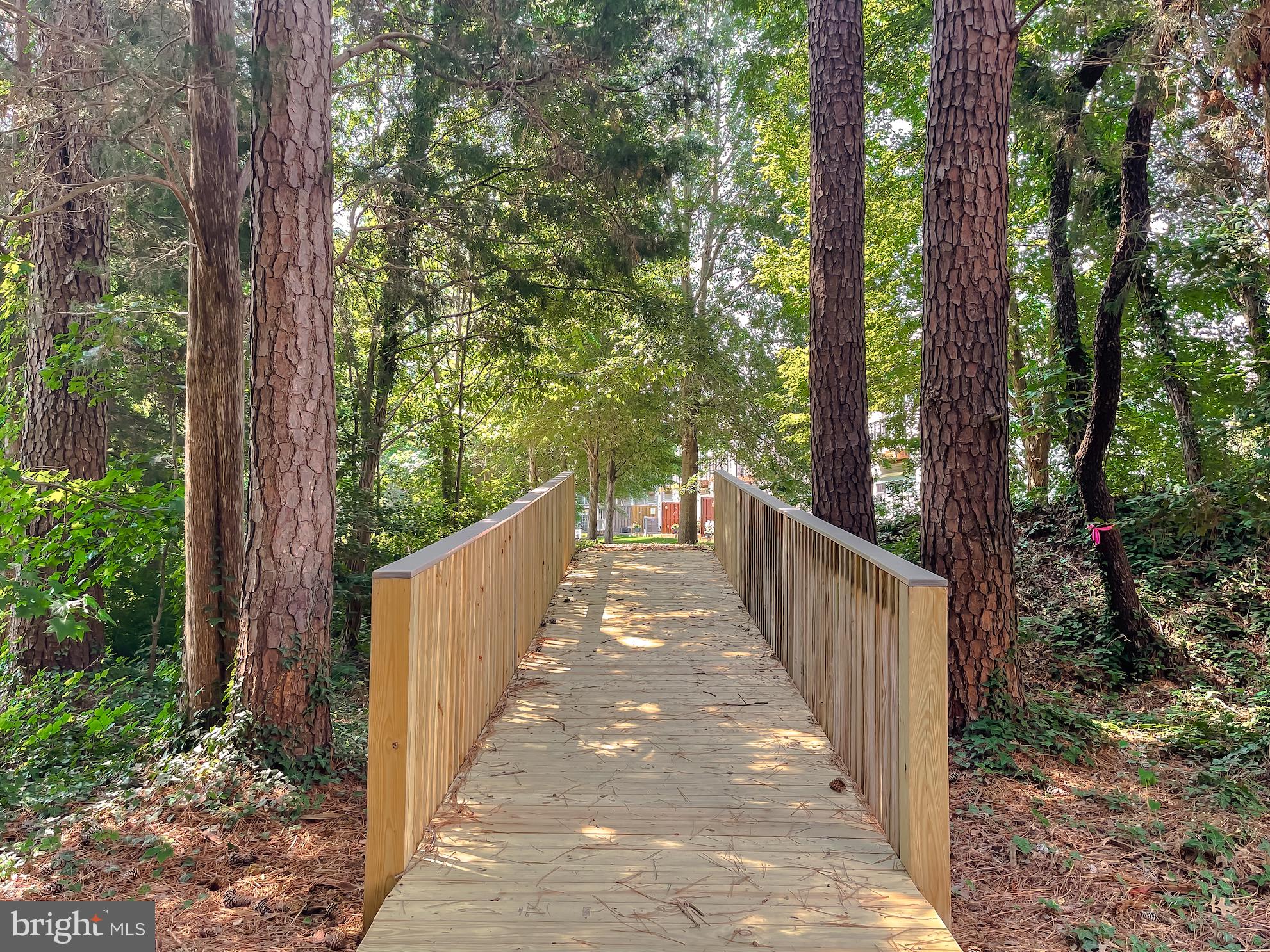 WINDWARD HARBOUR AT SOLOMONS - Residential