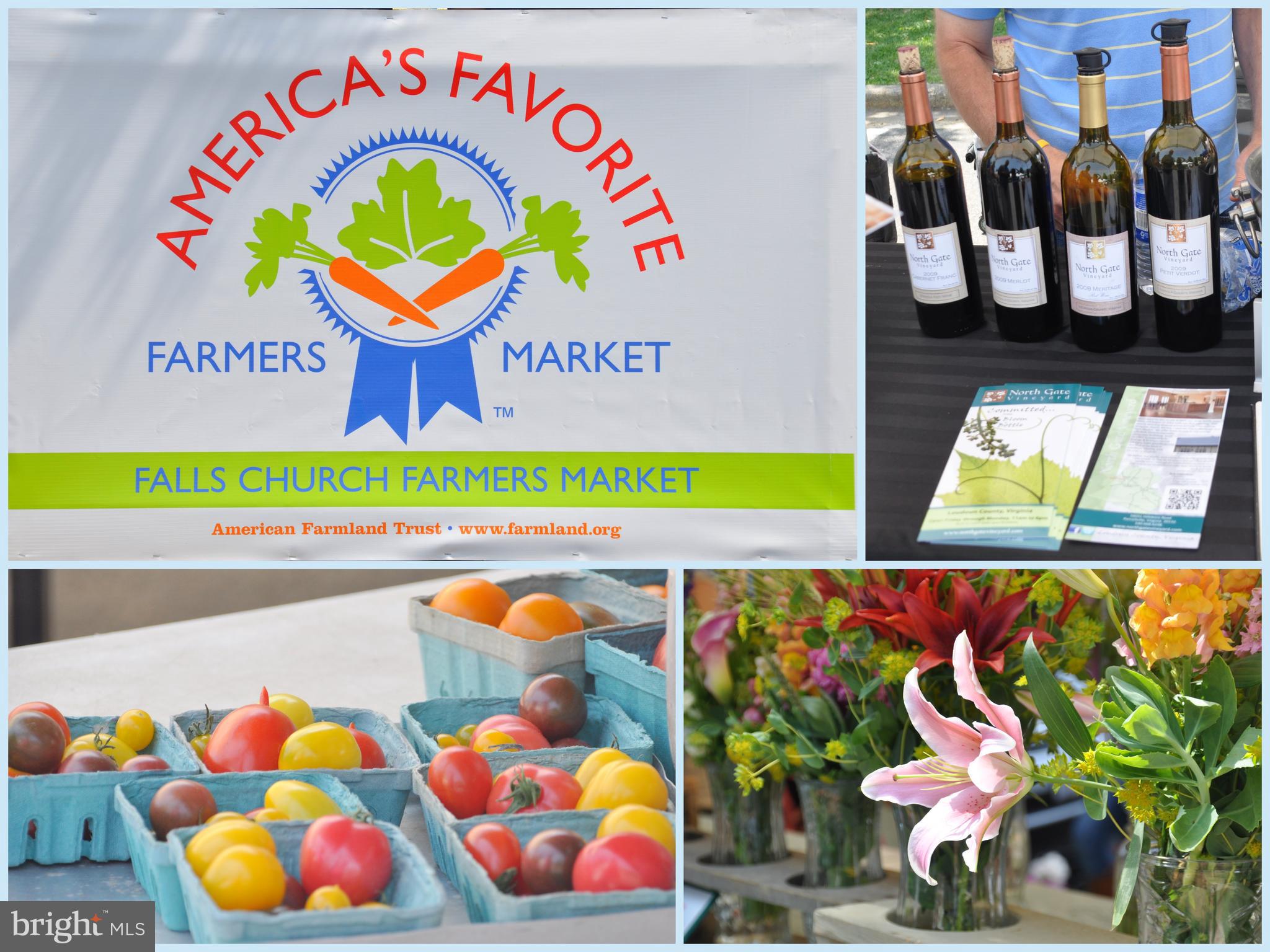 NEW PROVIDENCE VILLAGE - Residential