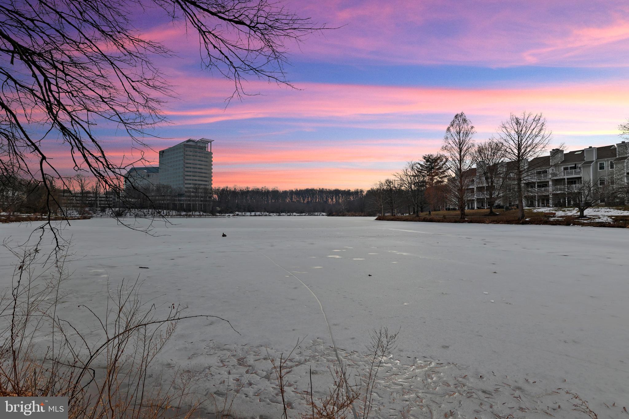 NEW PROVIDENCE VILLAGE - Residential