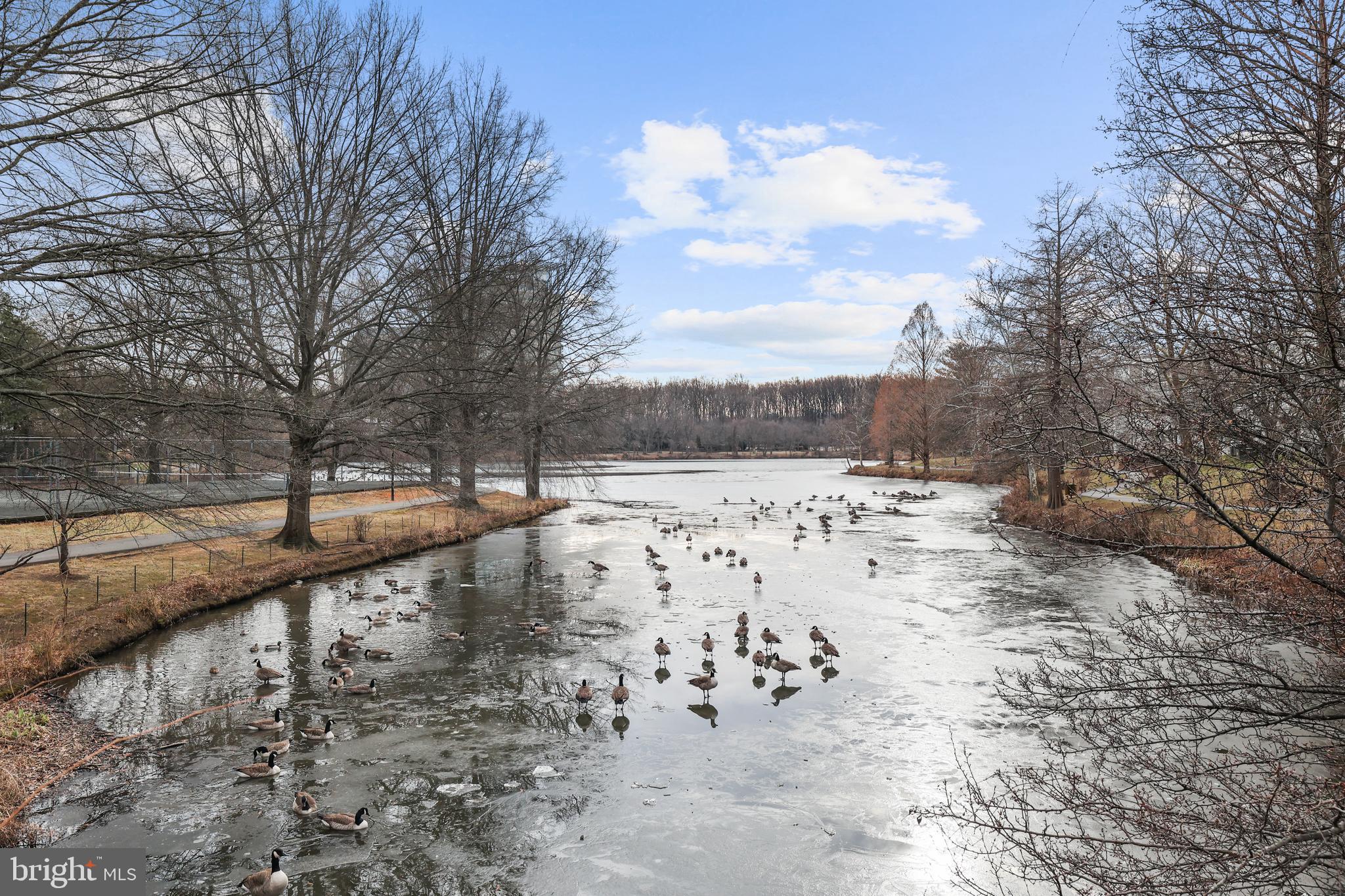 NEW PROVIDENCE VILLAGE - Residential