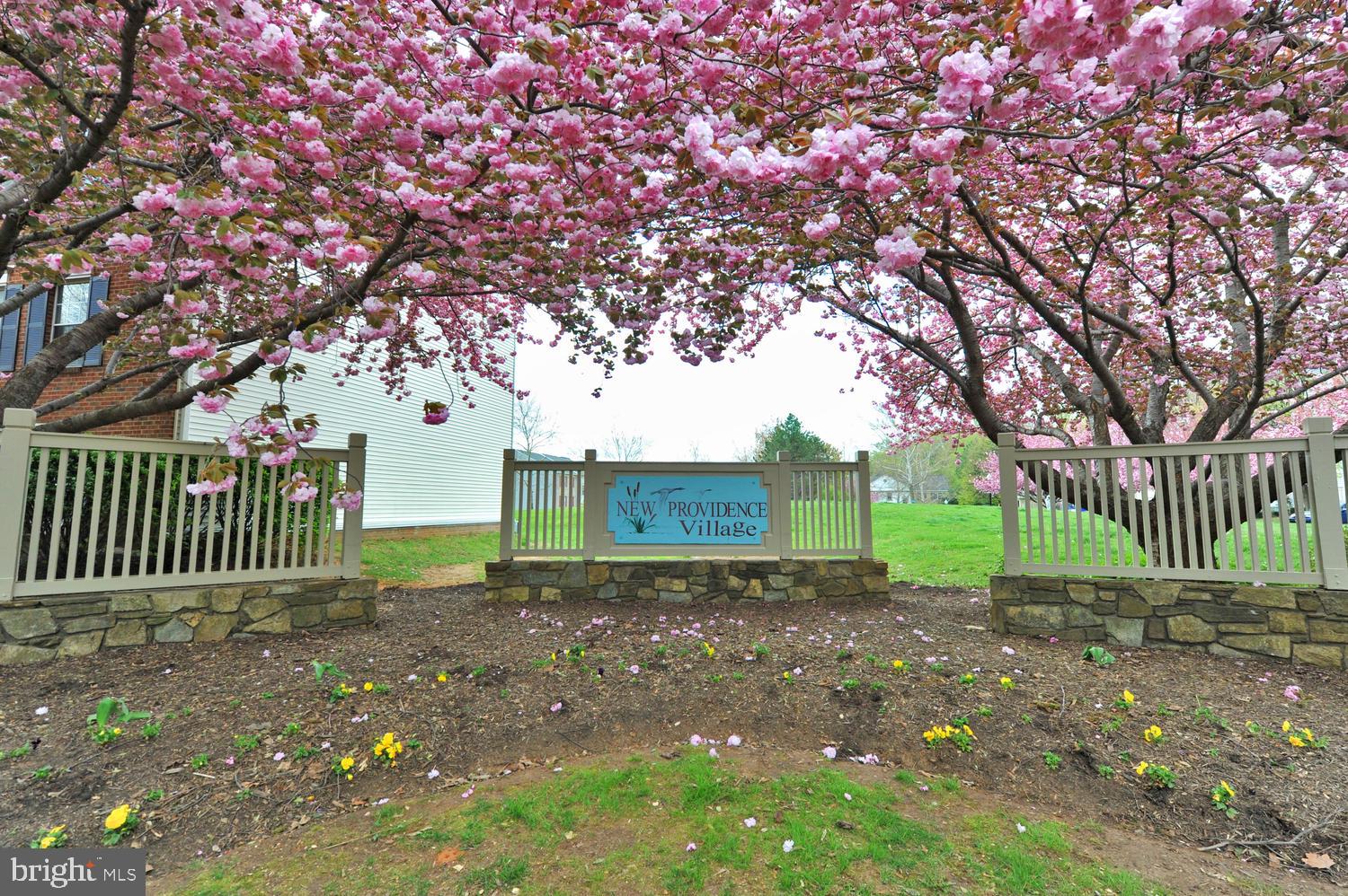 NEW PROVIDENCE VILLAGE - Residential