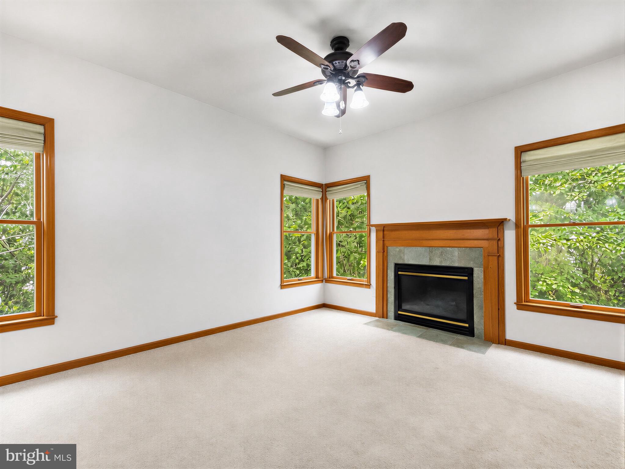 22393 DEERPATH COURT