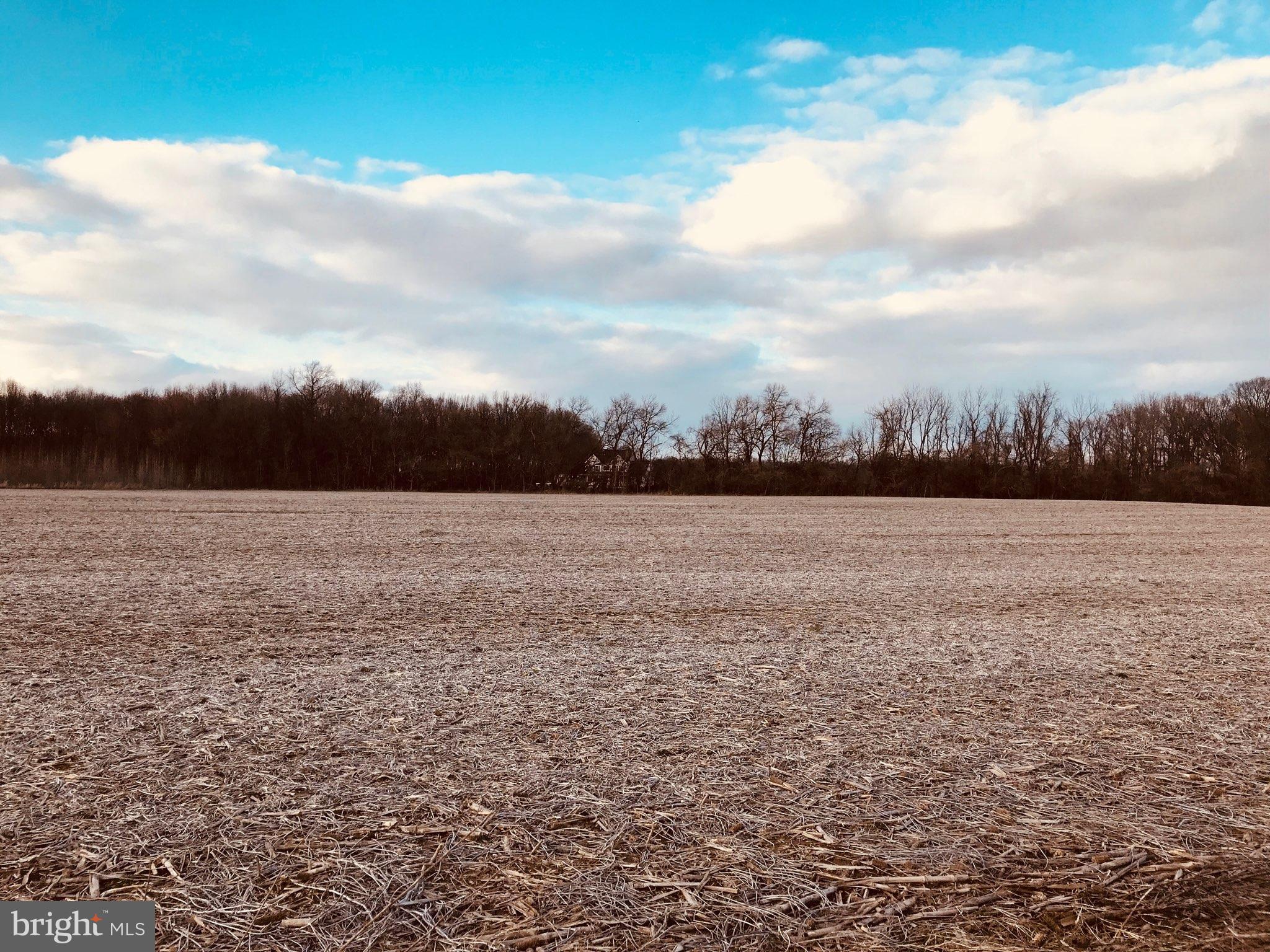 NONE AVAILABLE - Land