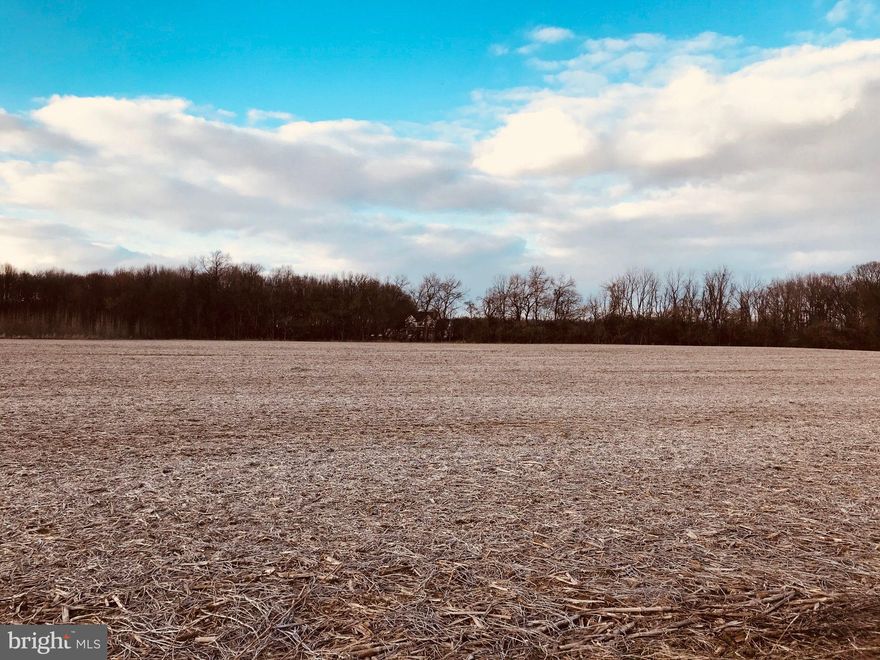 RARE FIND!!  ONLY ONE LOT AVAILABLE IN THE SMALL PRIVATE SUBDIVISION OF BAYLINE ESTATES.  PERC APPROVED, READY TO BE BUILT ON, AND NO BUILDER TIE-IN.  Take Edgar Price Rd then turn Right onto Joe Meltz Rd.  Follow to sign that reads County roads ends.  Keep going. Lot will be on right. BOHEMIA MIDDLE AND HIGH SCHOOLS. 5 MINUTES TO MIDDLETOWN DELAWARE.