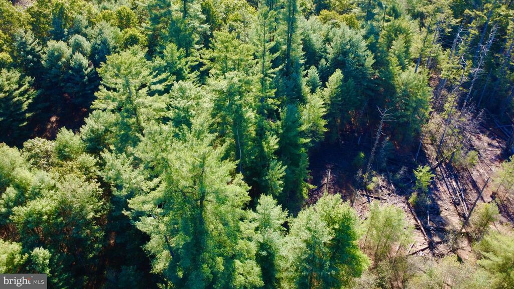 Photo of 0 Pine Glen Road, KARTHAUS, PA 16845 (MLS # PACE2516698)