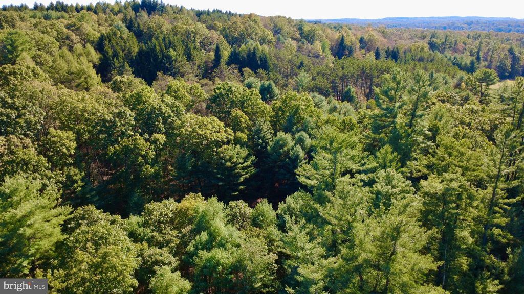 Photo of 0 Pine Glen Road, KARTHAUS, PA 16845 (MLS # PACE2516698)