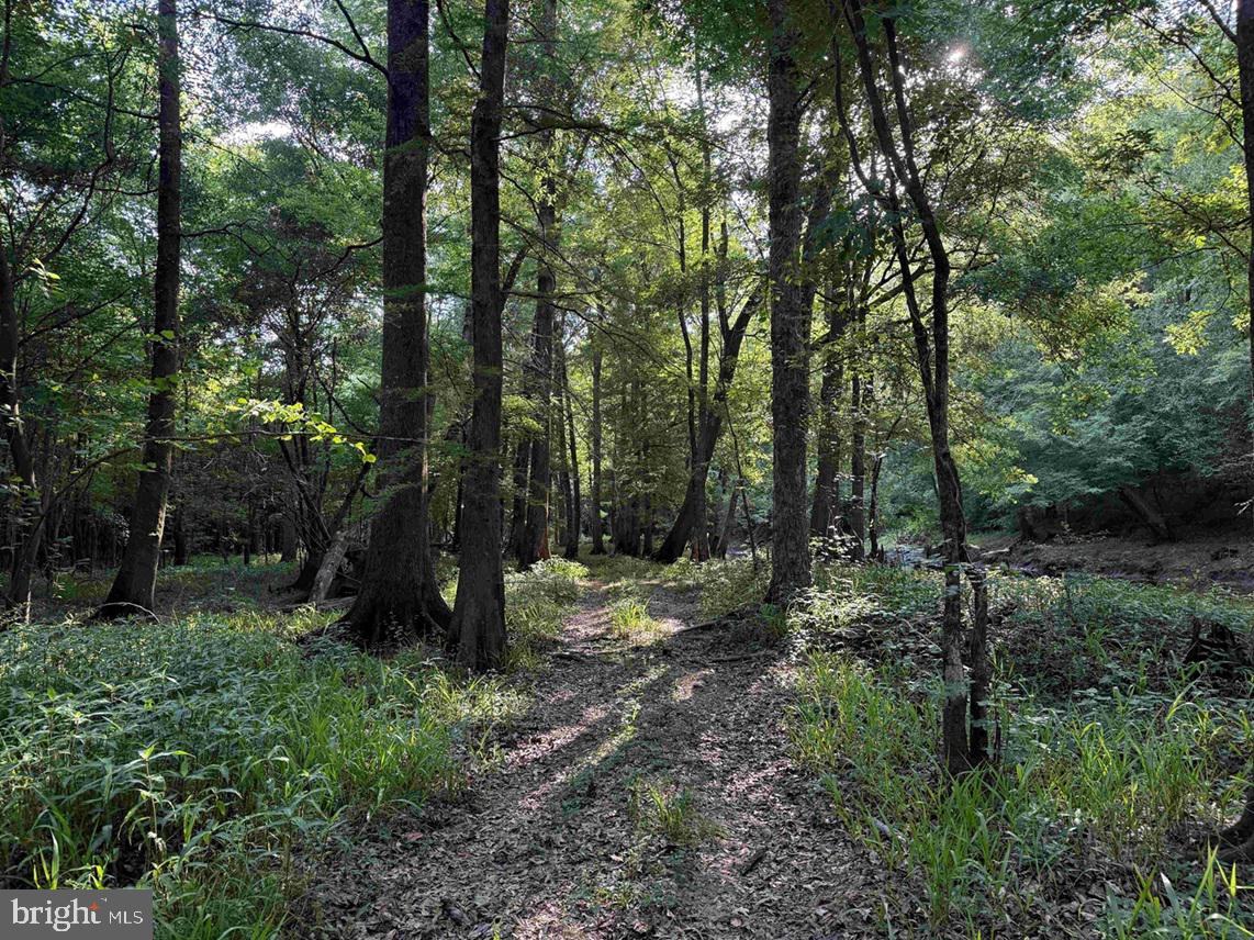 SARECTA ROAD (TRACT: DUPLIN)