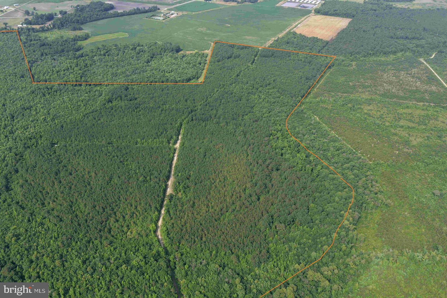 SARECTA ROAD (TRACT: DUPLIN)