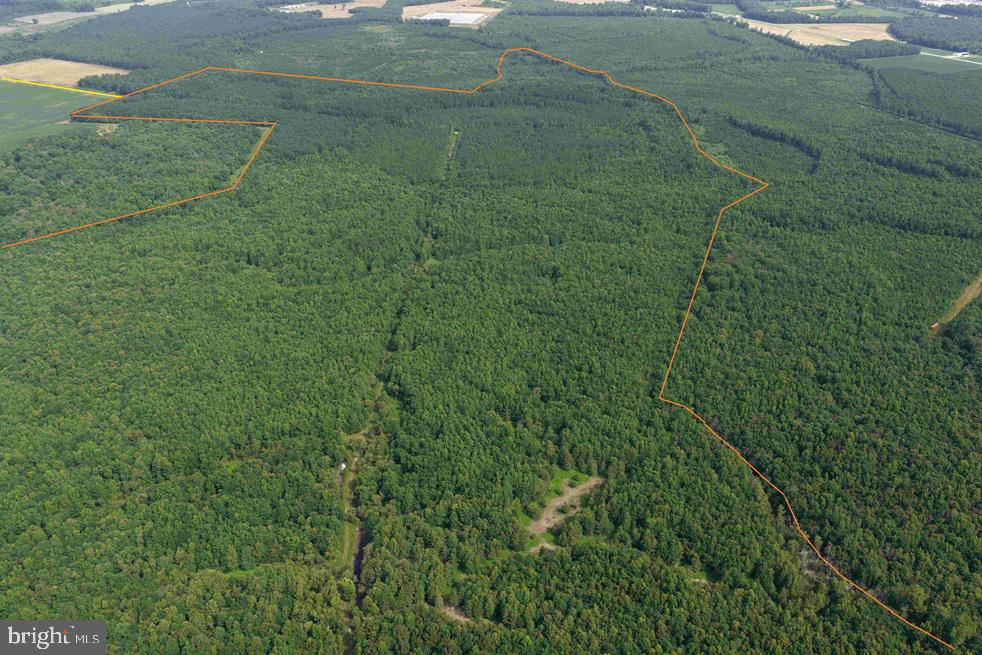 SARECTA ROAD (TRACT: DUPLIN)