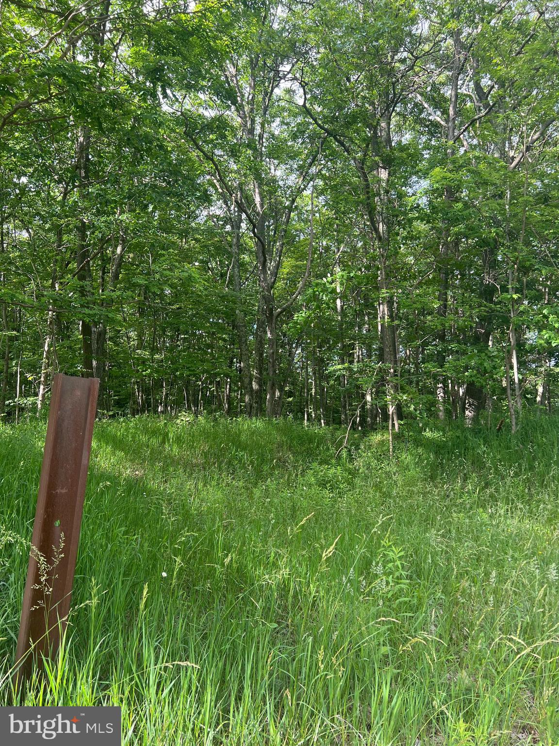 NONE AVAILABLE - Land