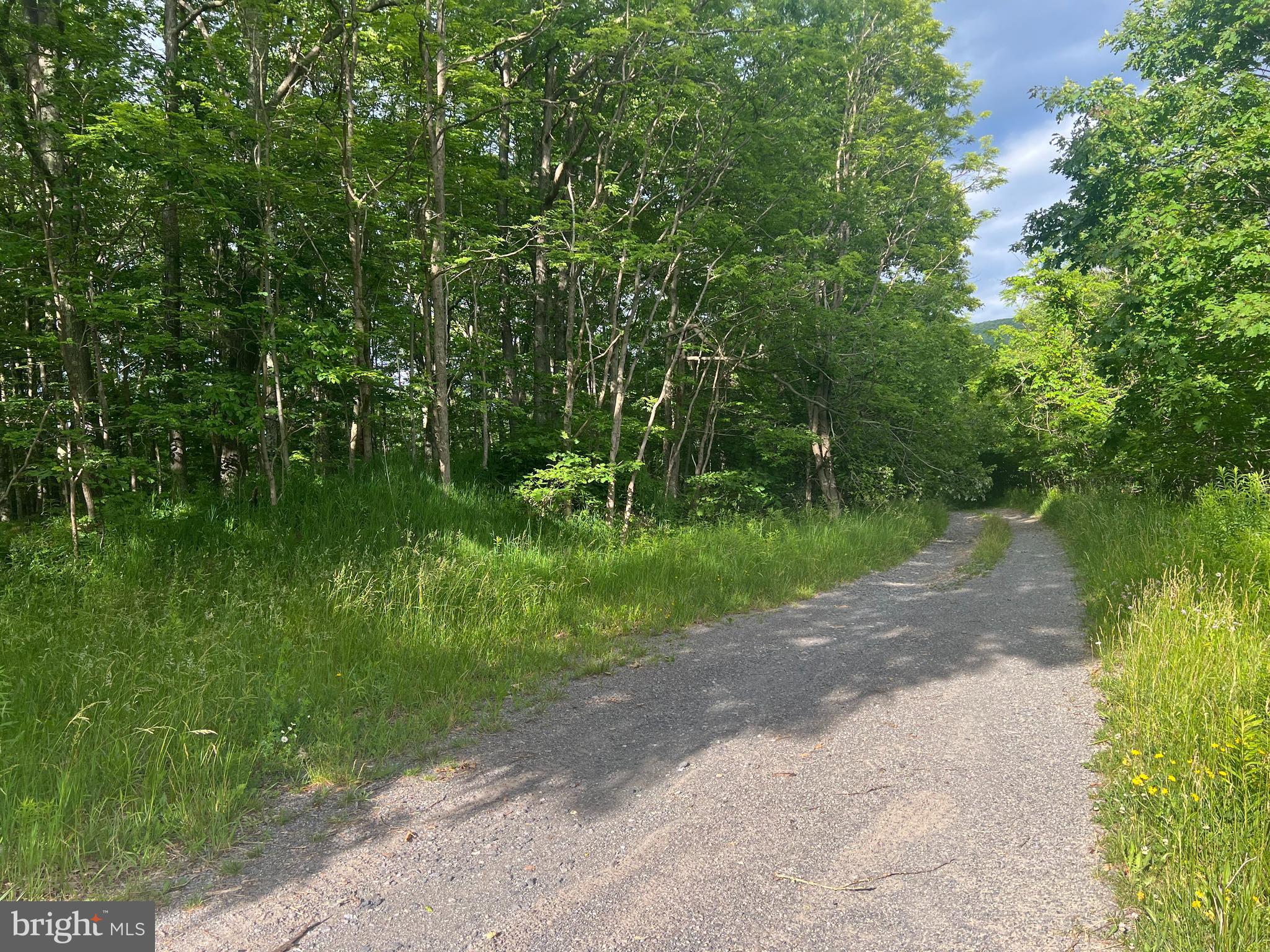 NONE AVAILABLE - Land