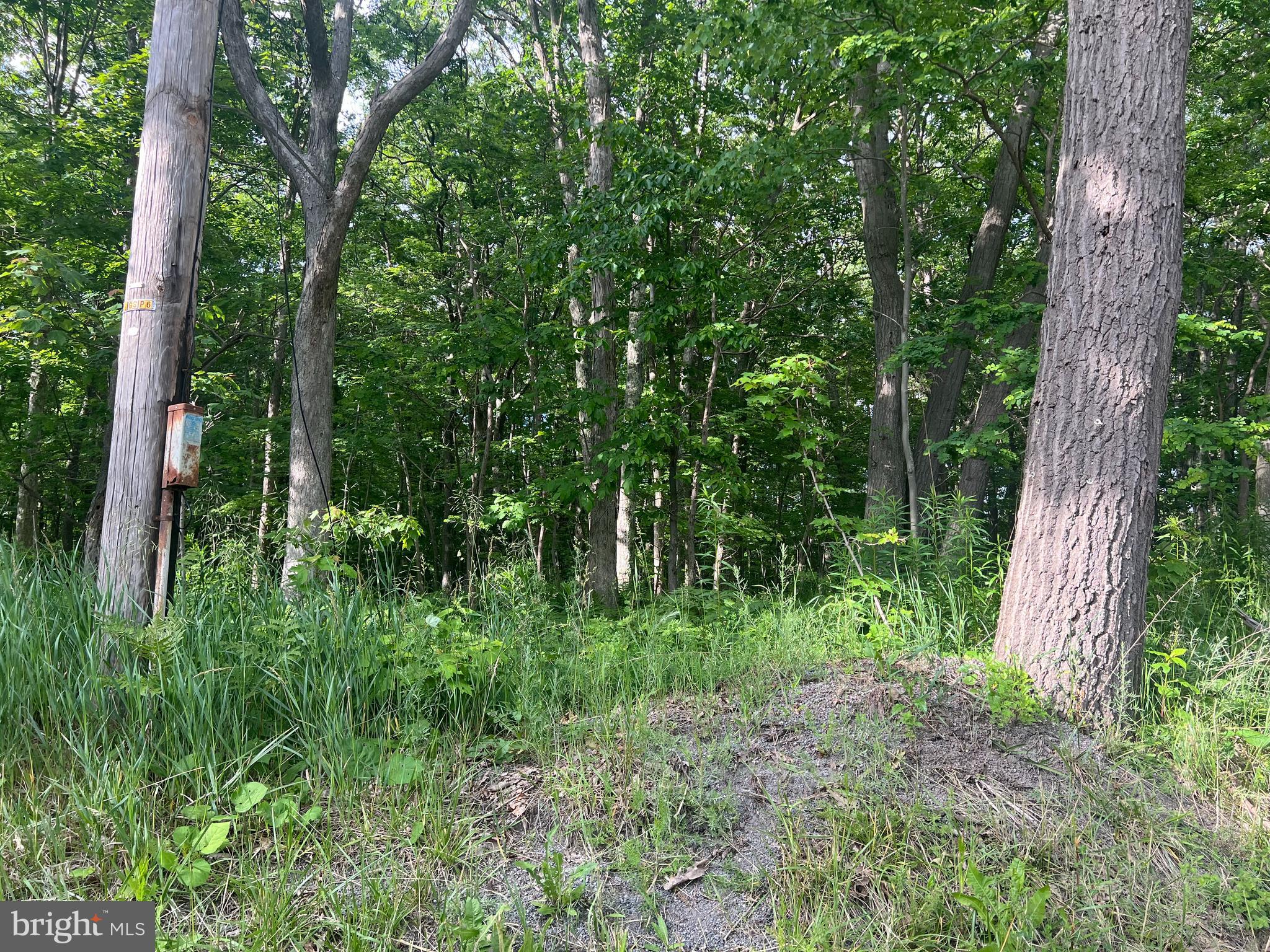 NONE AVAILABLE - Land