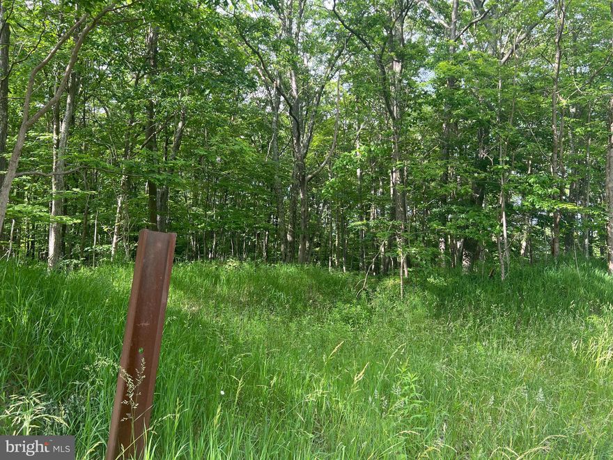 2 acre lot along Maryland Highway.