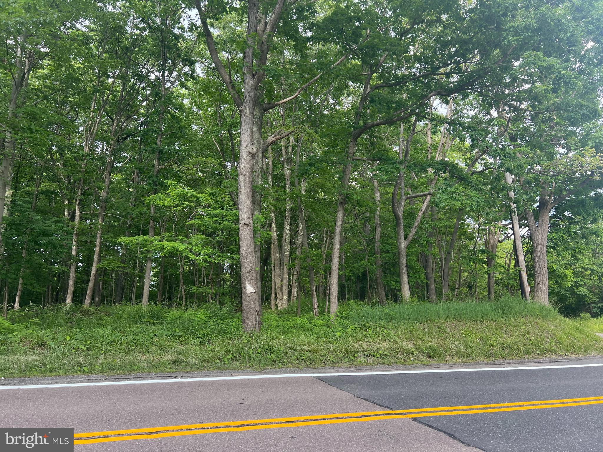 NONE AVAILABLE - Land