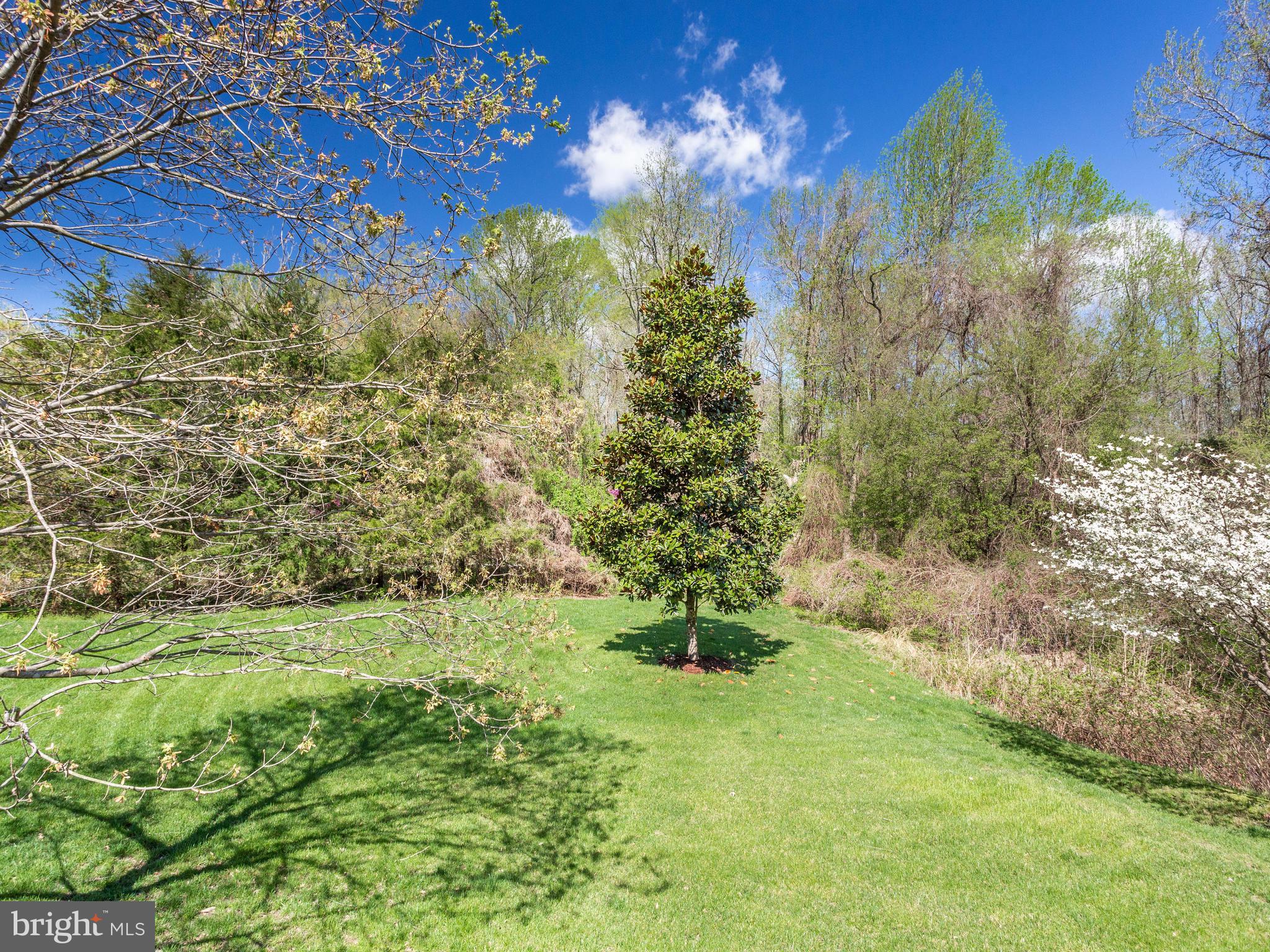 MARLBORO DOWNS - Residential