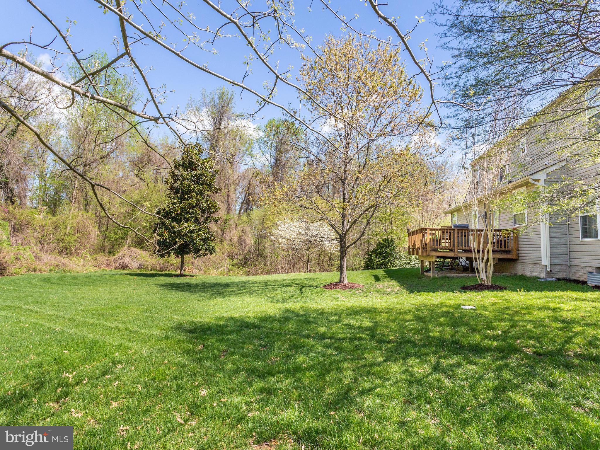 MARLBORO DOWNS - Residential