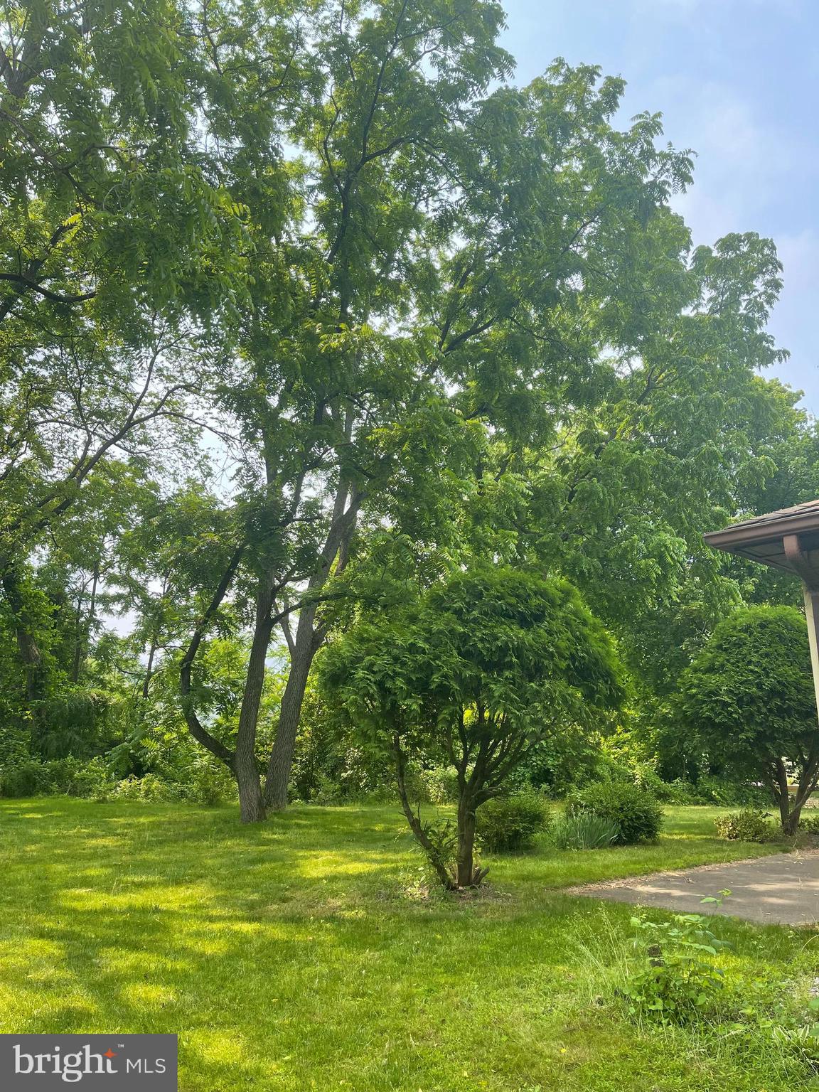 THE WOODLANDS - Residential