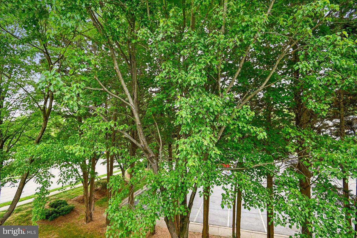 DEEP CREEK COMMONS - Residential