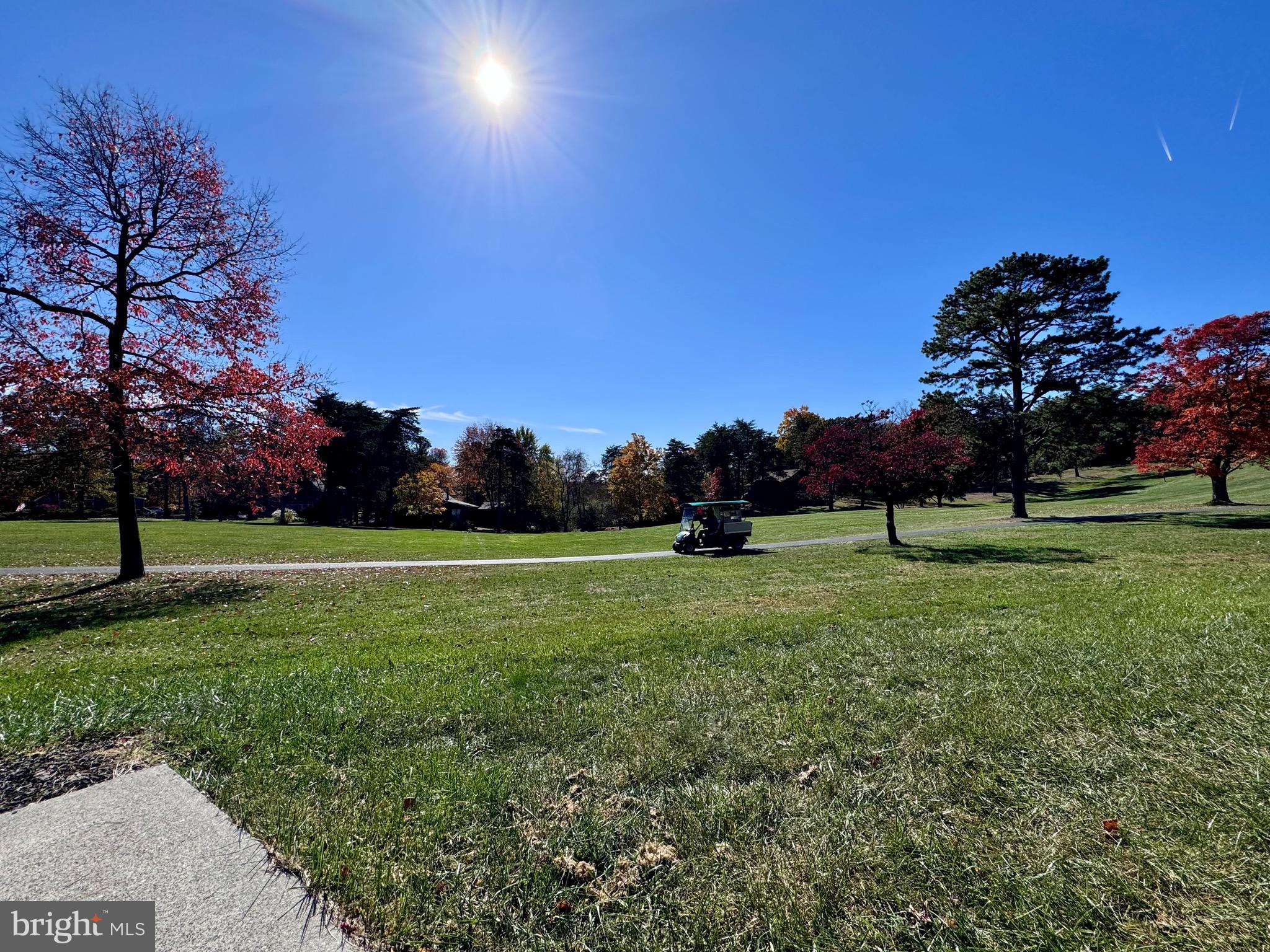 THE WOODS - Residential