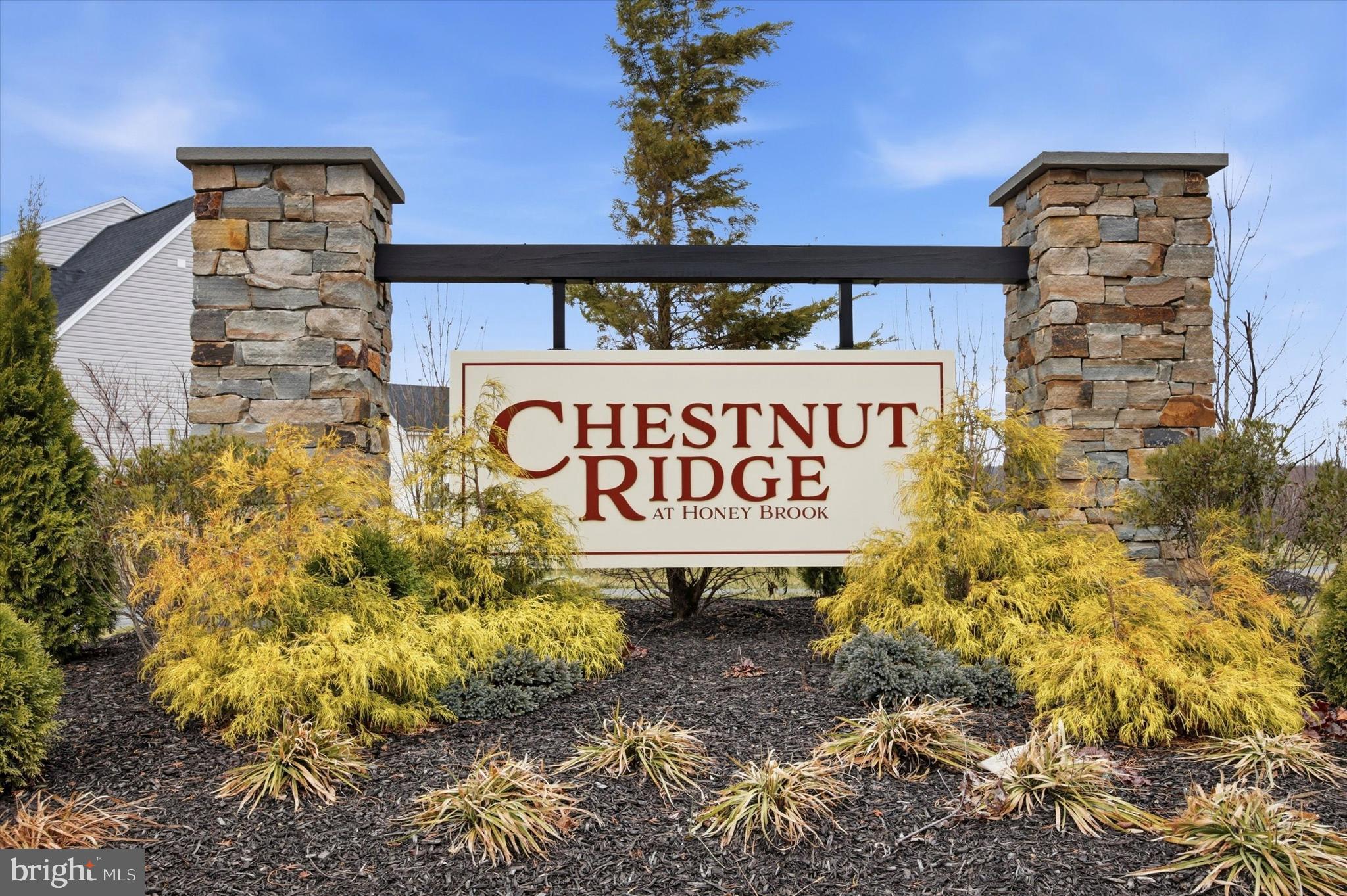 CHESTNUT RIDGE - Residential