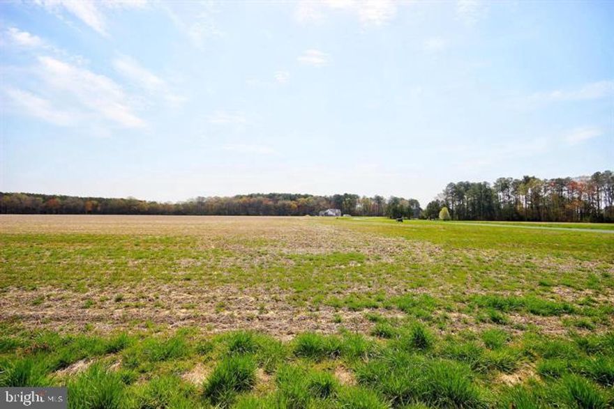 Come build your dream home on this 2.14 acres in well maintained Covington Cove Community.  Bring your own builder!  Enjoy all the beauty and charm this waterfront community has to offer.  Only 15 minutes to south of Salisbury and the University.  This community offers a private boat ramp and a freshwater pond with common areas and cable services.  Come see this lovely community and build your dream home with your own builder.