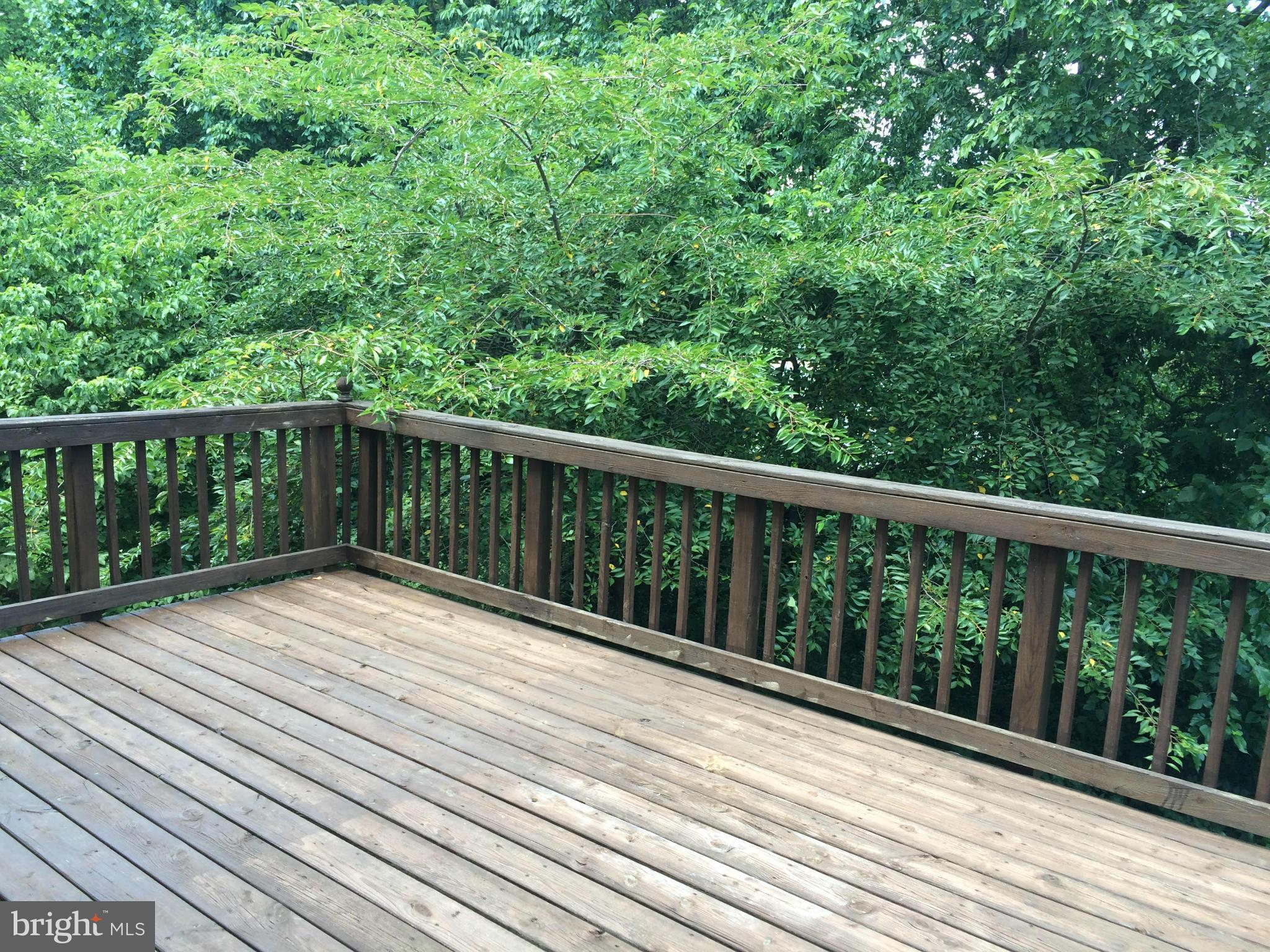 WOODSTONE - Residential Lease