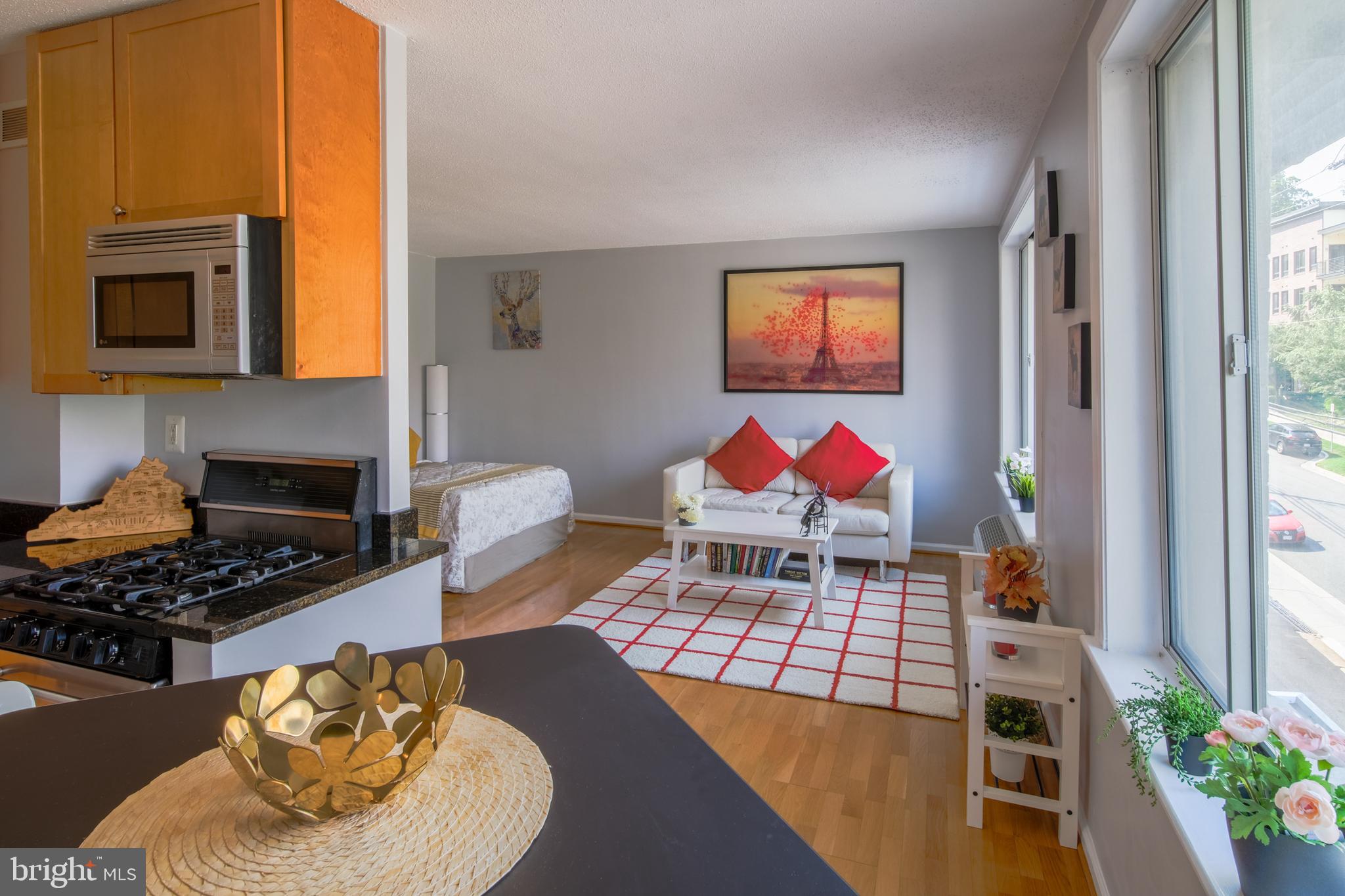 1730 ARLINGTON BOULEVARD 301