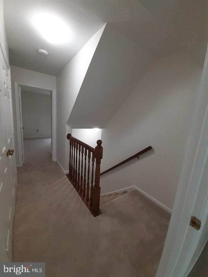 PINECREST - Residential Lease