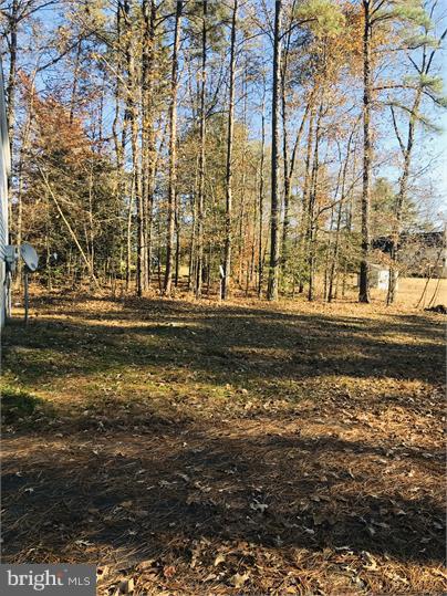 CAROLINE PINES - Residential Lease