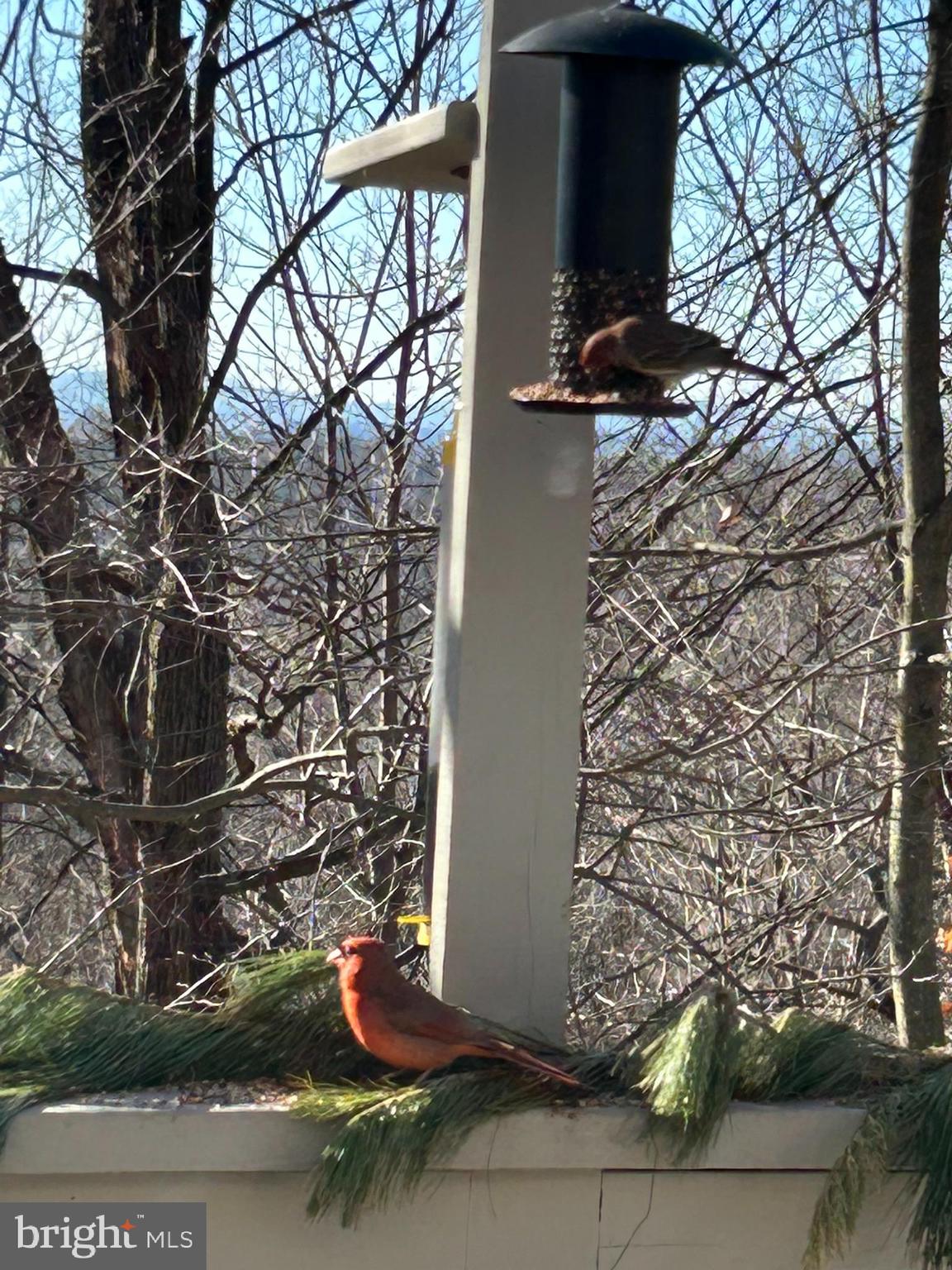 MOUNTAINDALE - Residential