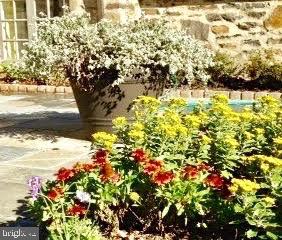 GREATER HOMELAND HISTORIC DISTRICT - Residential