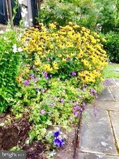 GREATER HOMELAND HISTORIC DISTRICT - Residential