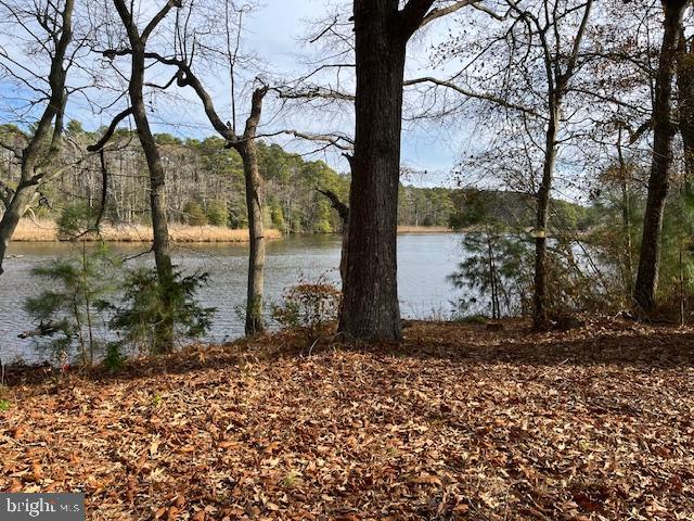 +/- 3.898 acres of waterfront property. Approximately 456' of shoreline along Beaverdam Creek. The property has old buildings on the site which can be removed and use the +/-1680 sq. ft. to build within part of the 100' critical area buffer. The owner has applied for a new septic approval for the buyer to build a bigger home. The front part of the lot is cleared with a nice high section for the new septic and to build a home. The new building area could be in the X flood zone which means no flood insurance will be required by a lender. Buildings are sold "as is". If driving on the property enter in between stakes located at the front of the lot. No driveway so 4 wheel drive is recommended.